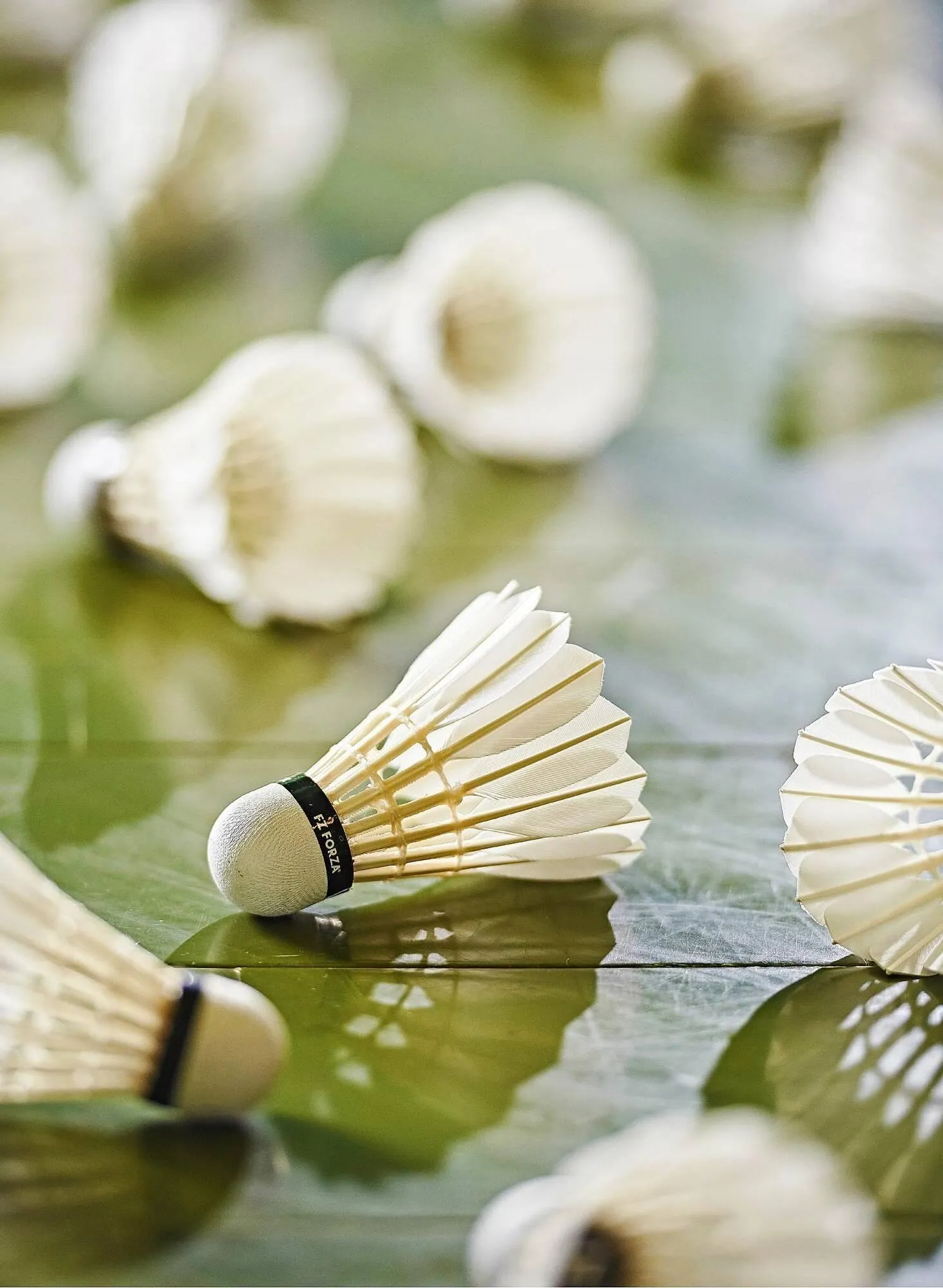 Sportigan tilbudsavis Gyldig indtil 23. maj - 31. december 2023 - tilbudsavis side 6