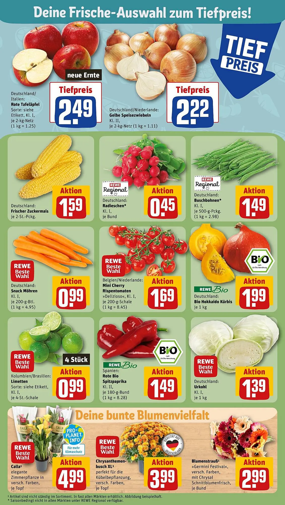 REWE tilbudsavis Gyldig indtil 11. september - 16. september 2023 - tilbudsavis side 5