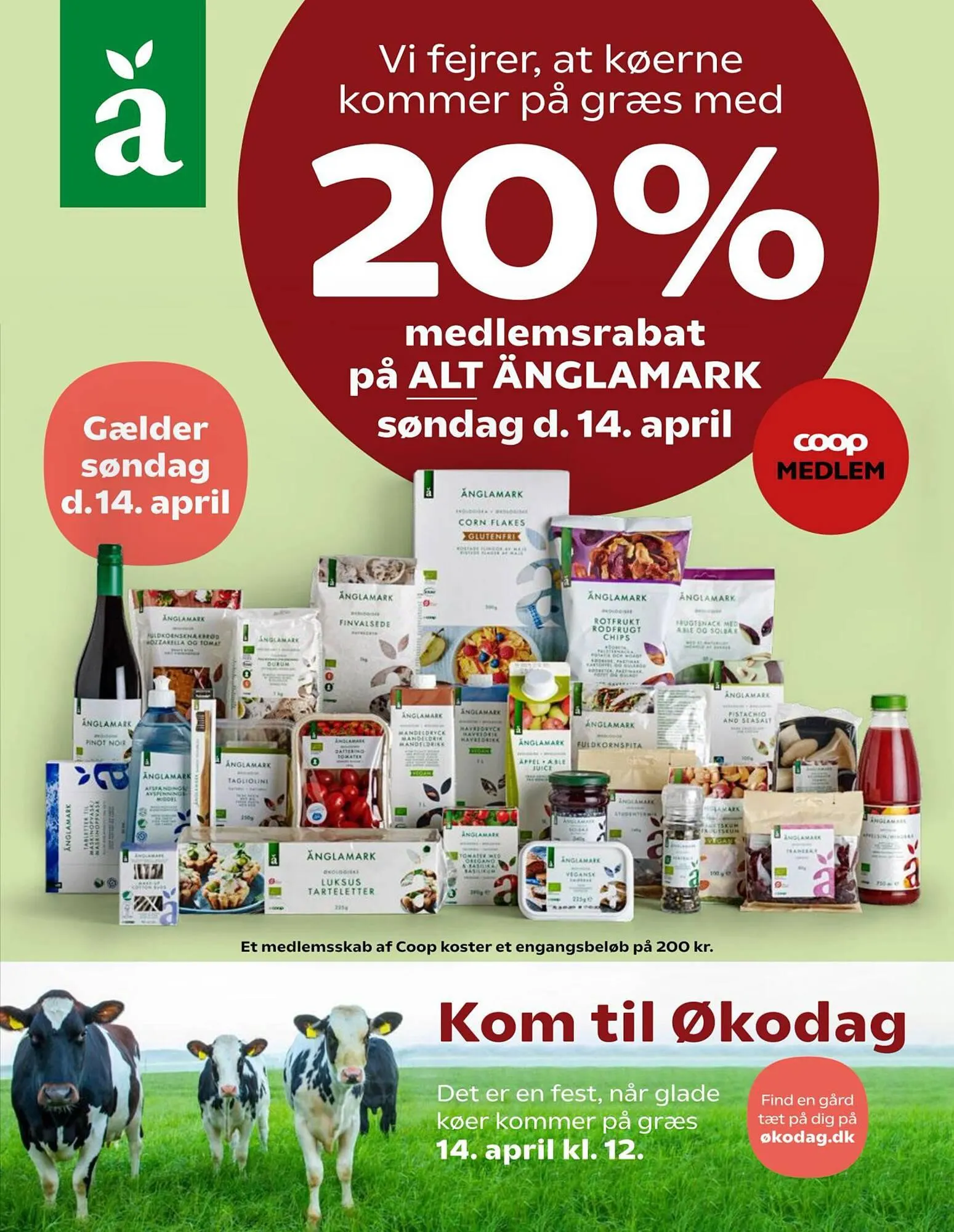 SuperBrugsen tilbudsavis Gyldig indtil 11. april - 18. april 2024 - tilbudsavis side 7