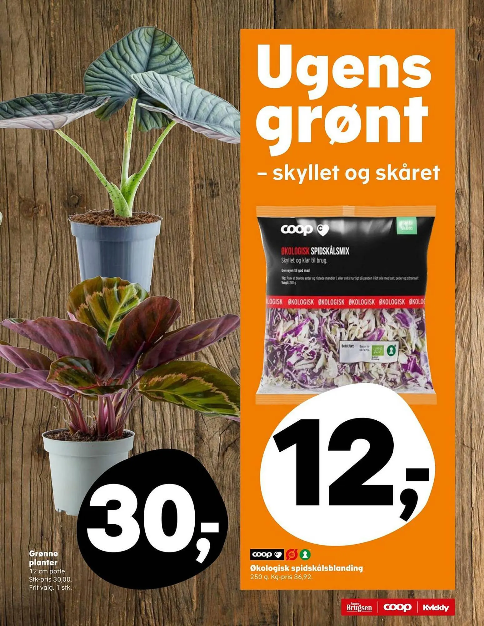 SuperBrugsen tilbudsavis Gyldig indtil 10. august - 17. august 2023 - tilbudsavis side 13