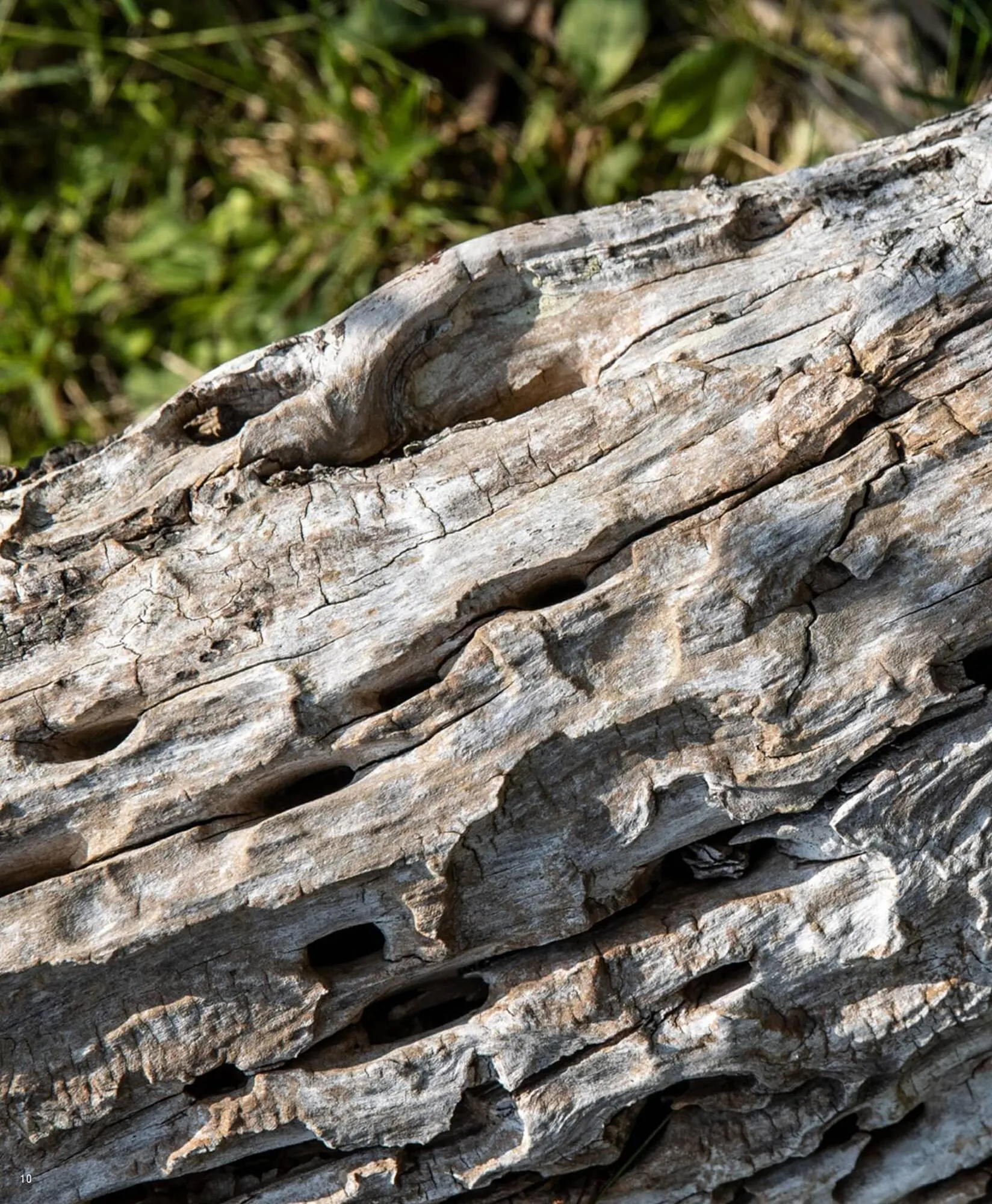 Ilva tilbudsavis Gyldig indtil 14. marts - 30. september 2023 - tilbudsavis side 10