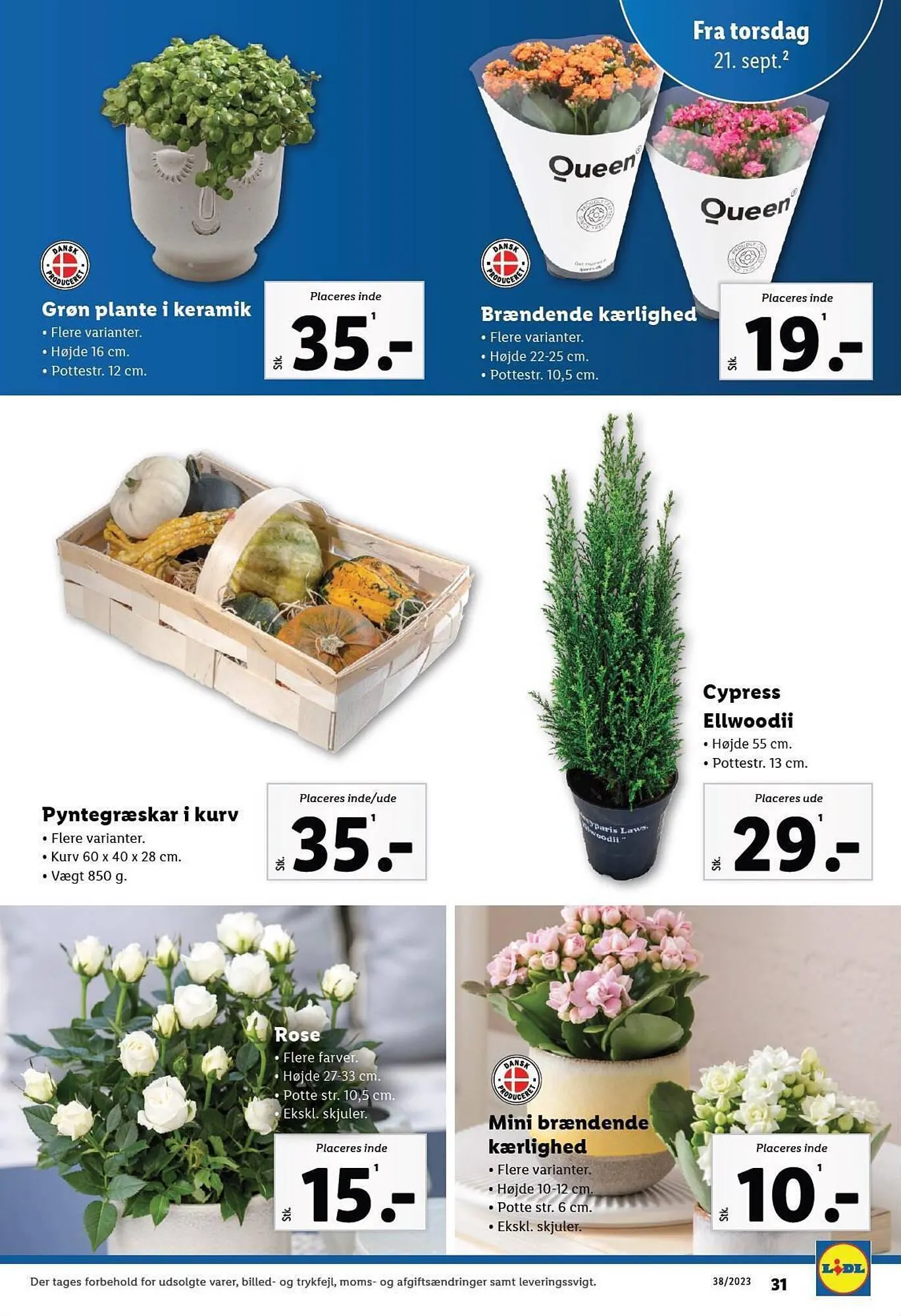 Lidl tilbudsavis Gyldig indtil 21. september - 23. september 2023 - tilbudsavis side 7