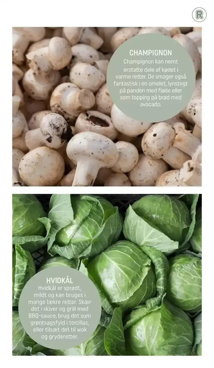 Spar nu med vores tilbud Gyldig indtil 31. januar - 28. februar 2025 - tilbudsavis side 4