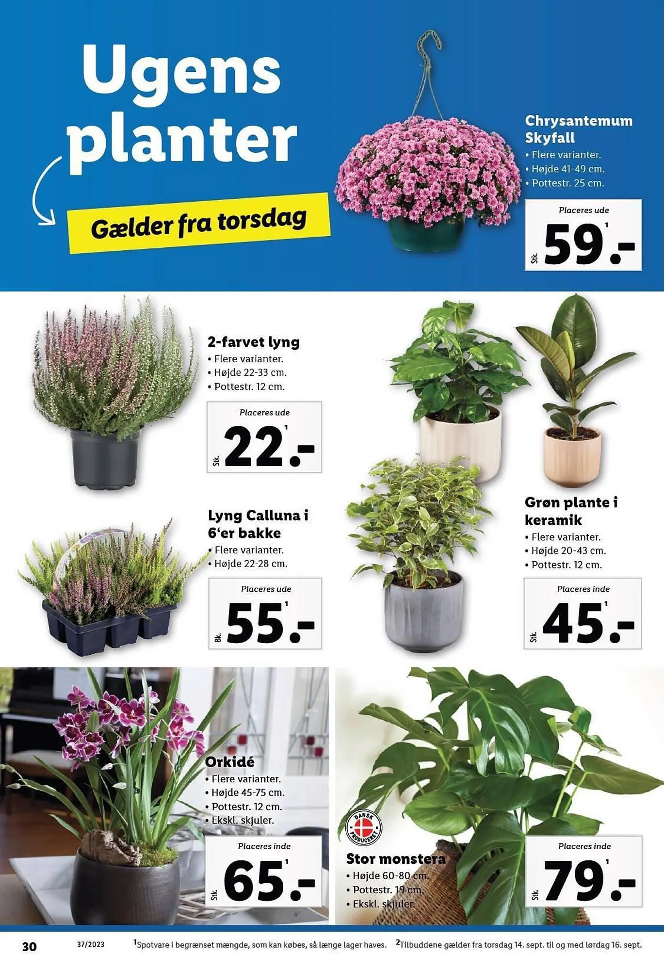 Lidl tilbudsavis Gyldig indtil 10. september - 16. september 2023 - tilbudsavis side 30