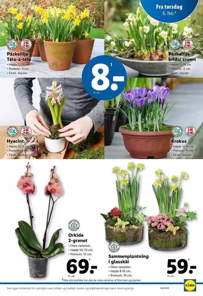 Toptilbud til sparegrise Gyldig indtil 29. januar - 8. februar 2025 - tilbudsavis side 35