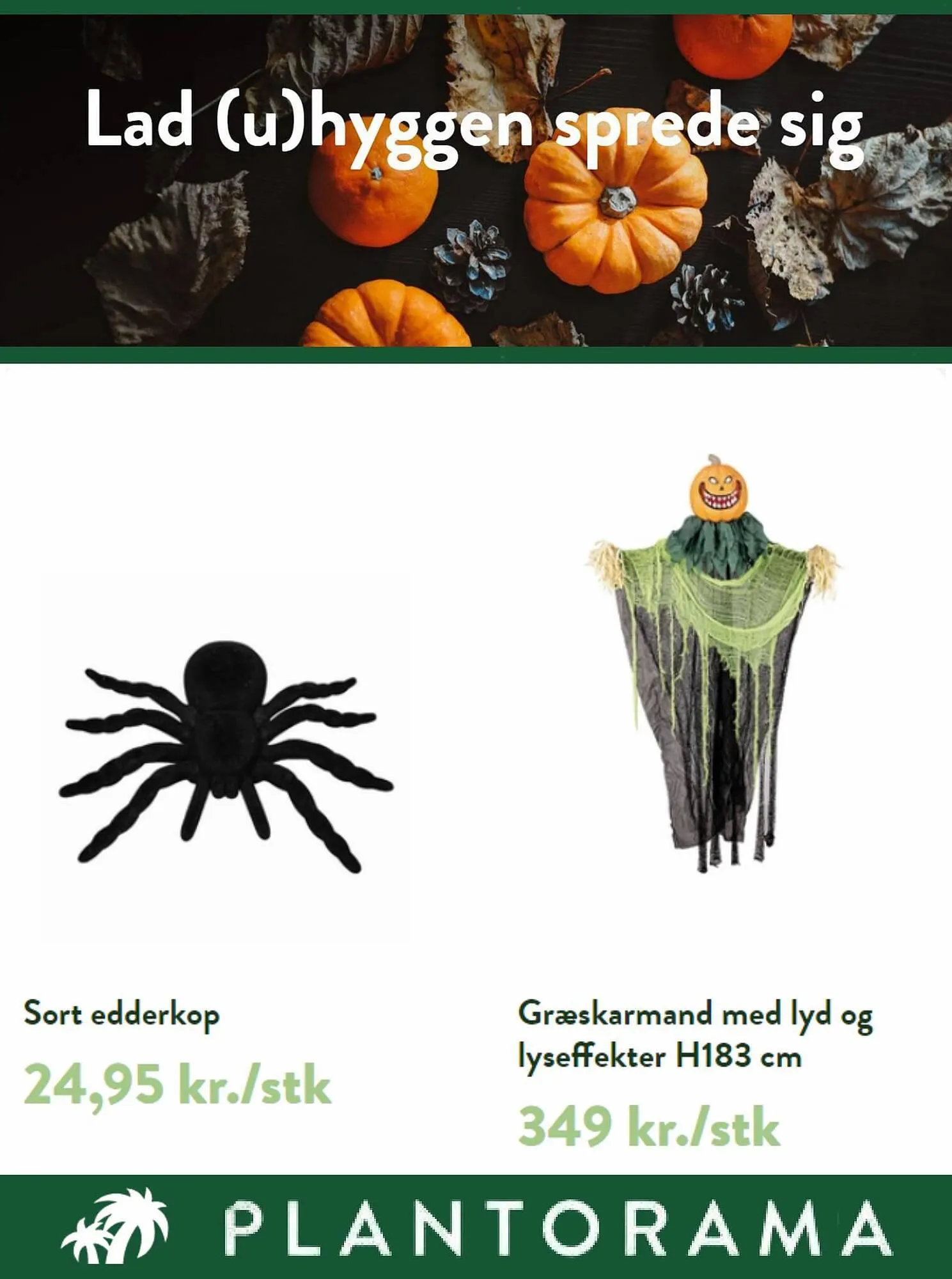 Plantorama tilbudsavis Gyldig indtil 16. oktober - 31. oktober 2023 - tilbudsavis side 2