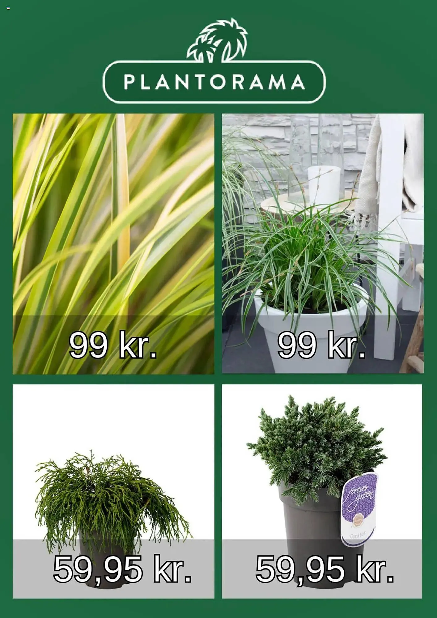 Plantorama tilbudsavis Gyldig indtil 20. januar - 19. februar 2025 - tilbudsavis side 2