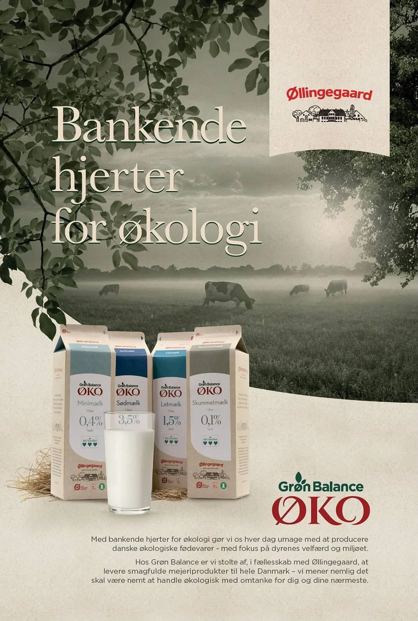 SPAR tilbudsavis Gyldig indtil 19. august - 25. august 2023 - tilbudsavis side 18