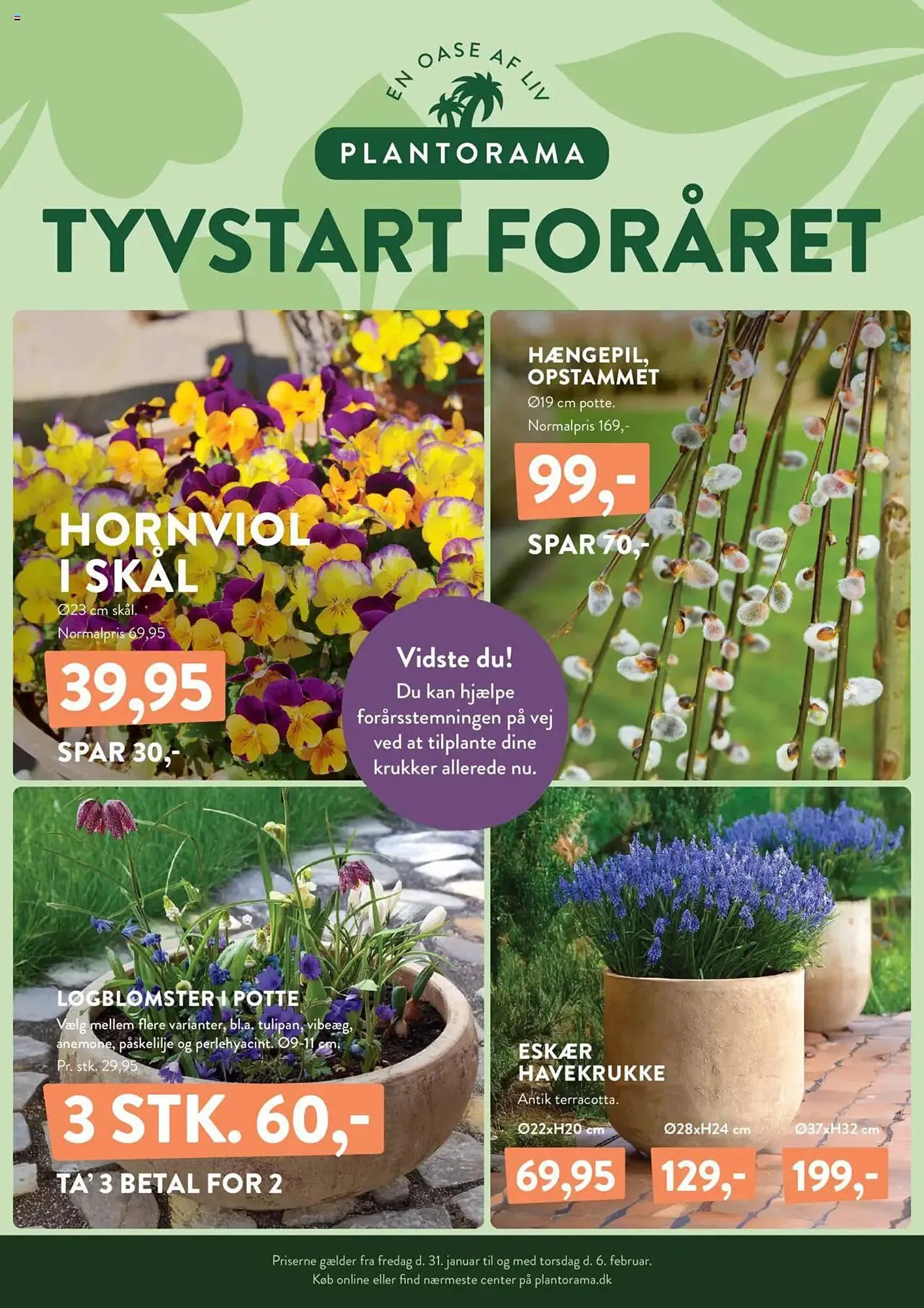 Plantorama tilbudsavis Gyldig indtil 31. januar - 6. februar 2025 - tilbudsavis side 1