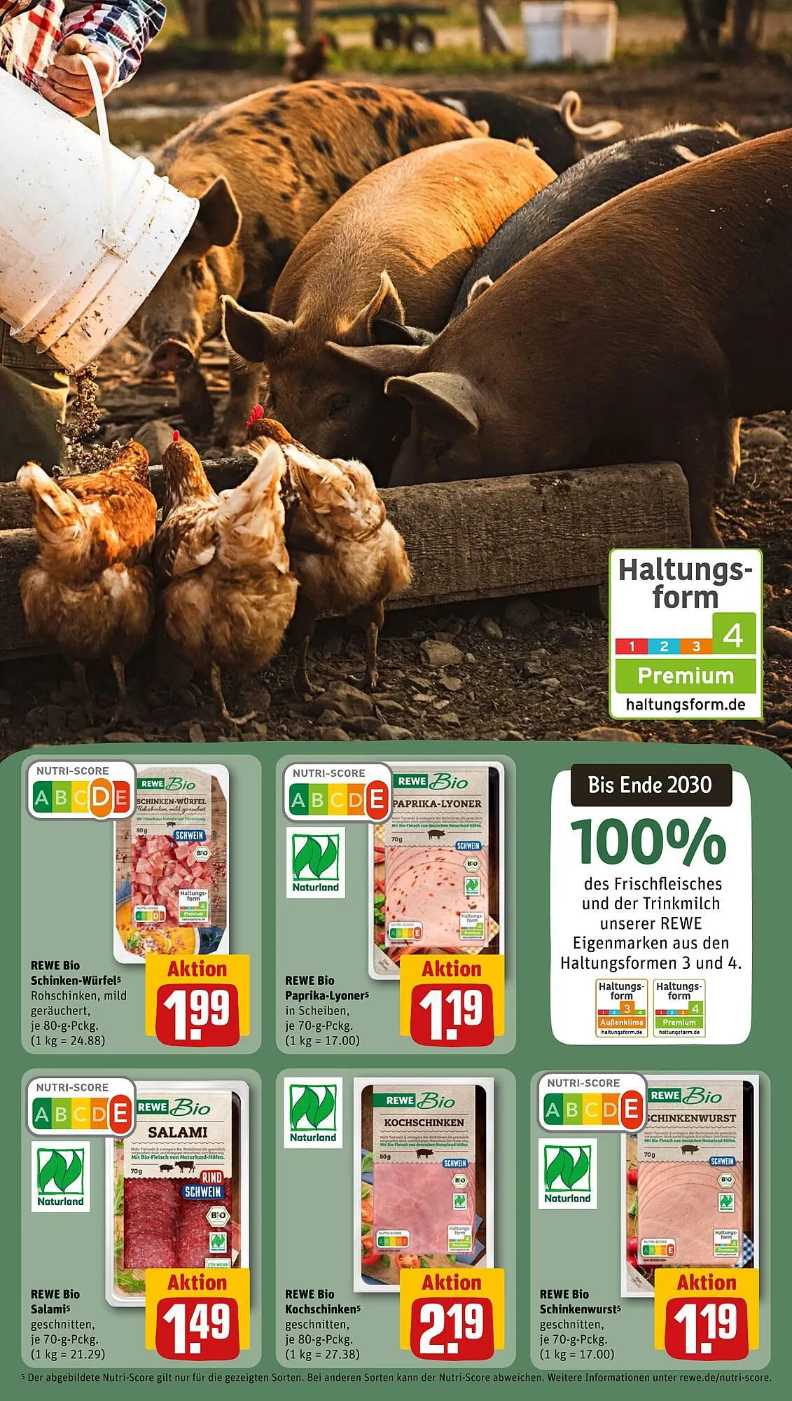 REWE tilbudsavis Gyldig indtil 21. august - 26. august 2023 - tilbudsavis side 13