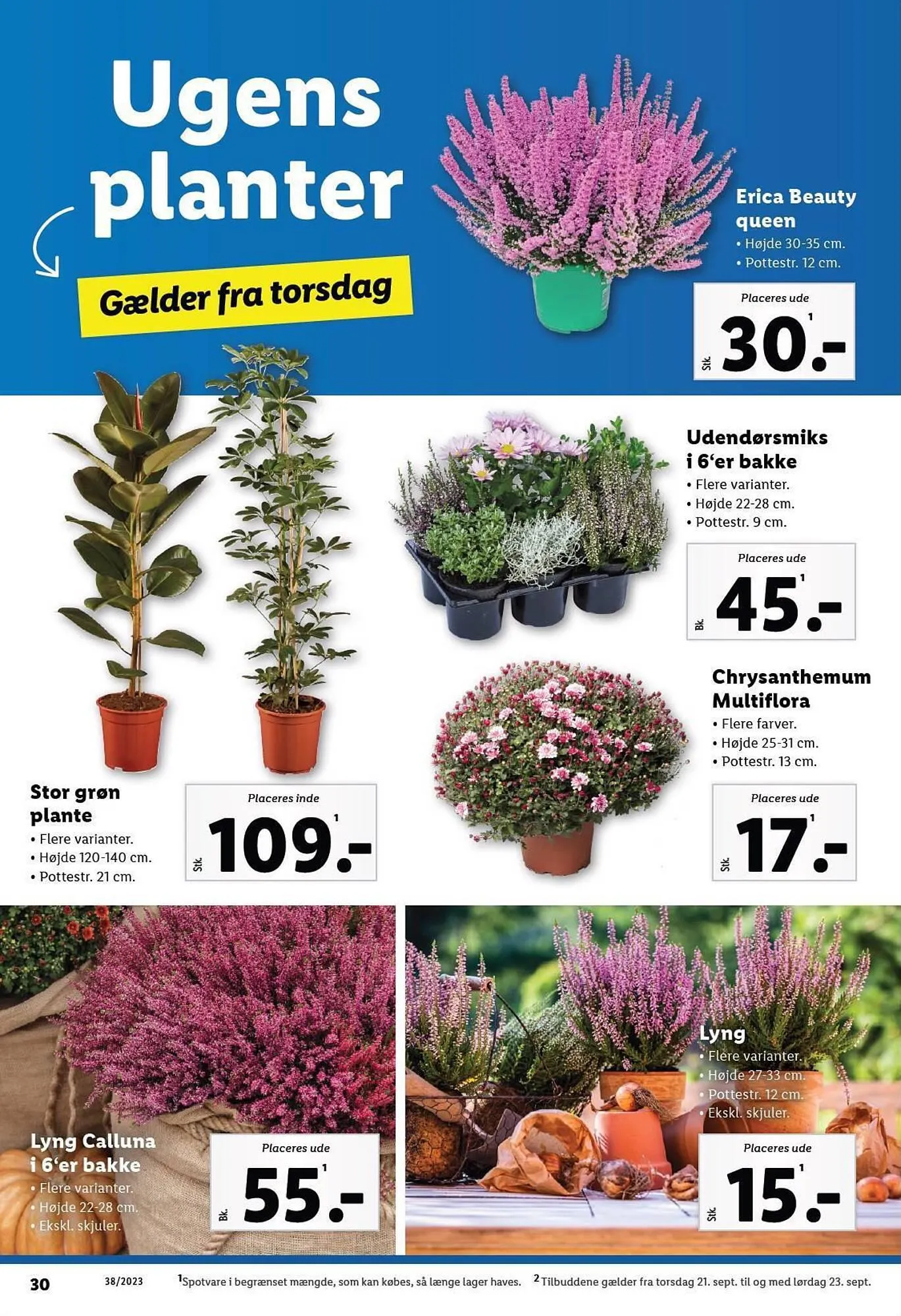 Lidl tilbudsavis Gyldig indtil 21. september - 23. september 2023 - tilbudsavis side 6