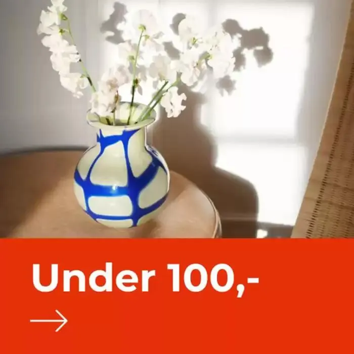 SALE Gyldig indtil 9. januar - 29. januar 2025 - tilbudsavis side 4