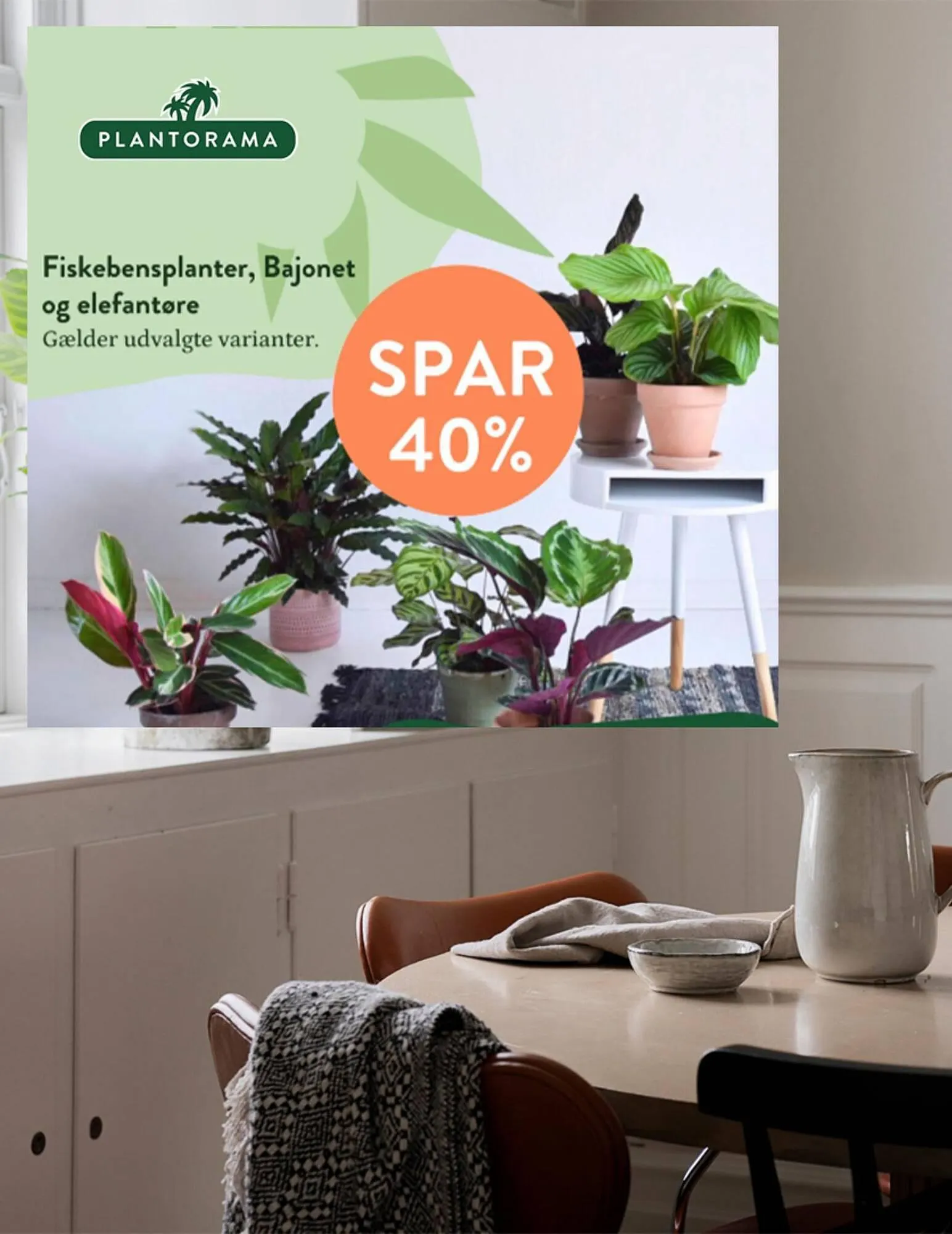 Plantorama tilbudsavis Gyldig indtil 28. august - 11. september 2023 - tilbudsavis side 1