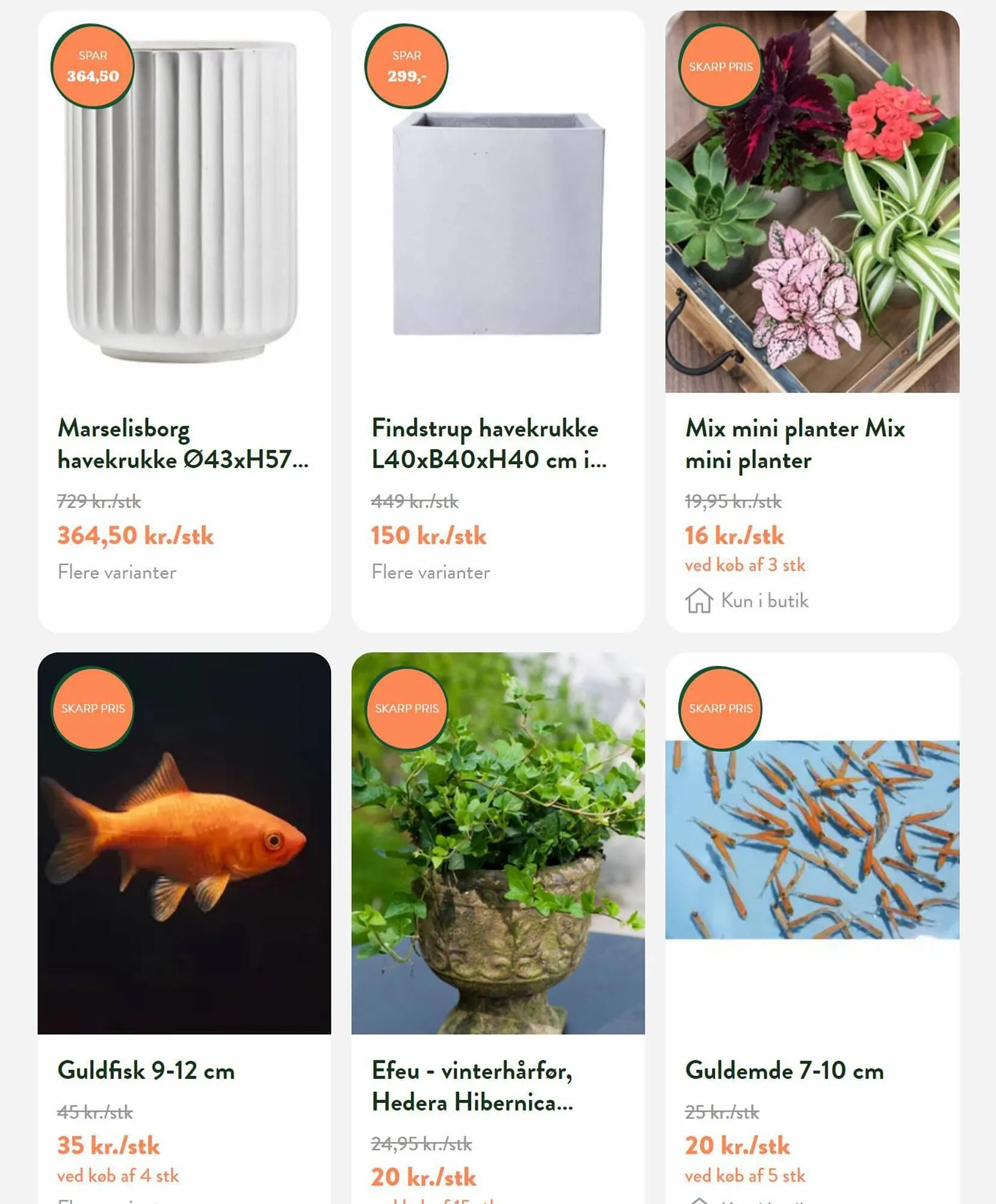 Plantorama tilbudsavis Gyldig indtil 13. september - 27. september 2023 - tilbudsavis side 5