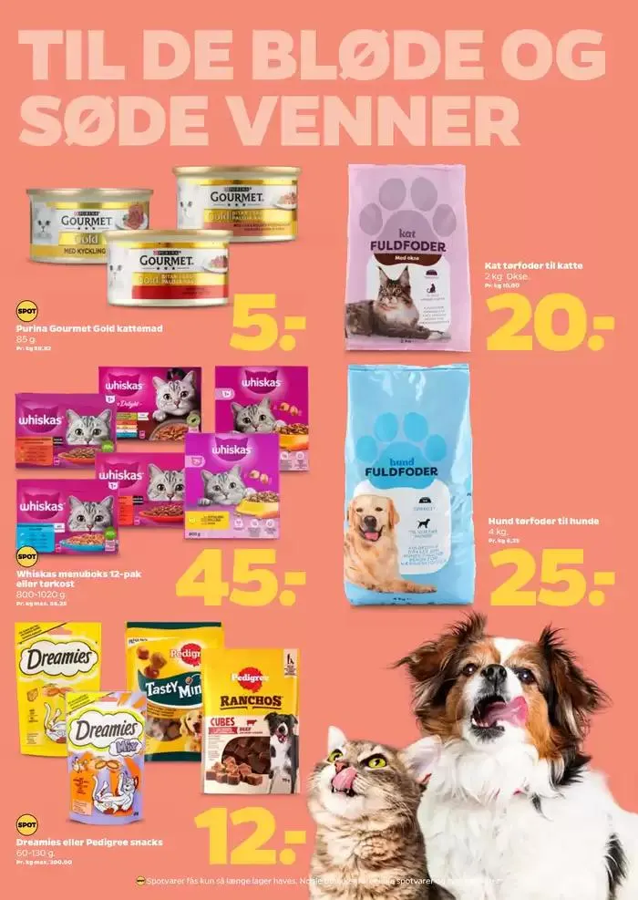 Netto uge 6 Gyldig indtil 31. januar - 7. februar 2025 - tilbudsavis side 21