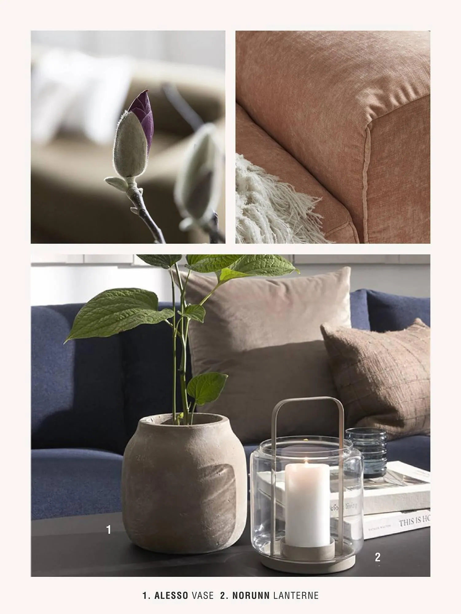 Ilva tilbudsavis Gyldig indtil 14. marts - 30. september 2023 - tilbudsavis side 31