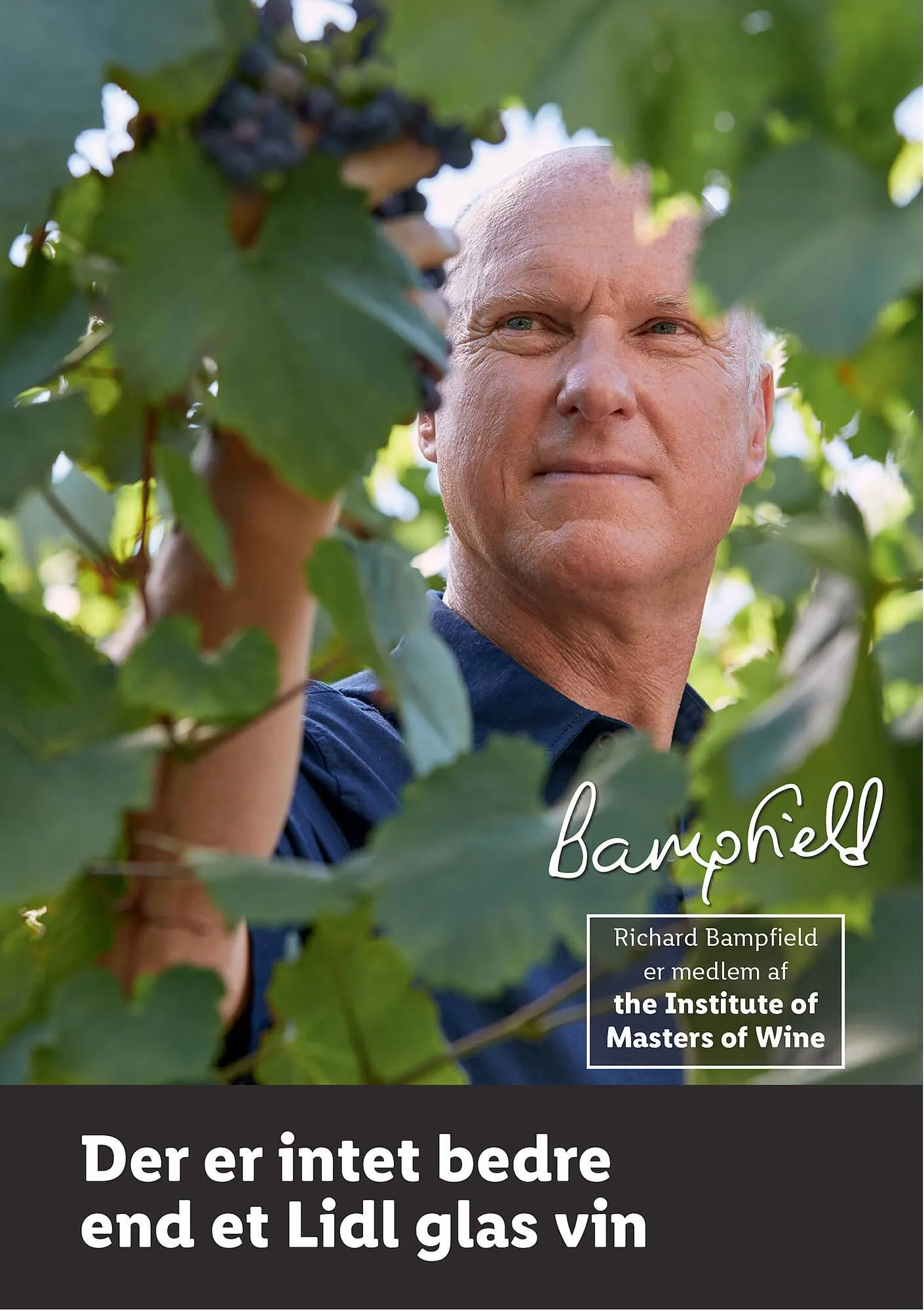 Lidl tilbudsavis - Master of wine Gyldig indtil 10. juli - 31. december 2023 - tilbudsavis side 1