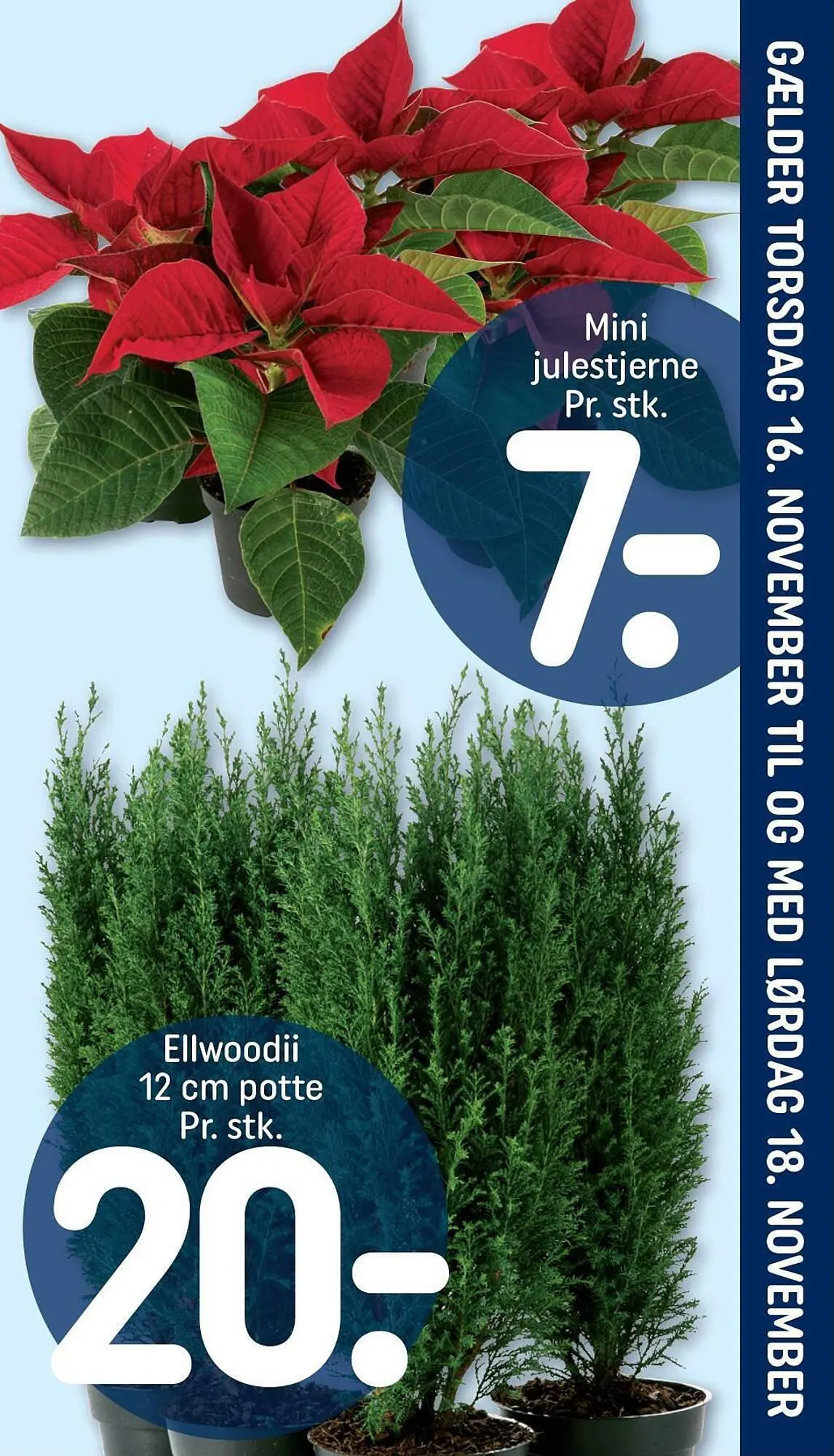 Rema 1000 tilbudsavis Gyldig indtil 12. november - 18. november 2023 - tilbudsavis side 1