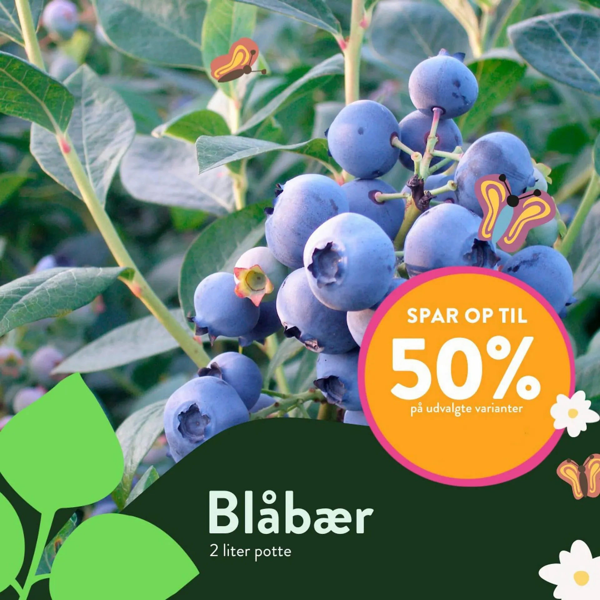 Plantorama tilbudsavis Gyldig indtil 26. juni - 10. juli 2023 - tilbudsavis side 3