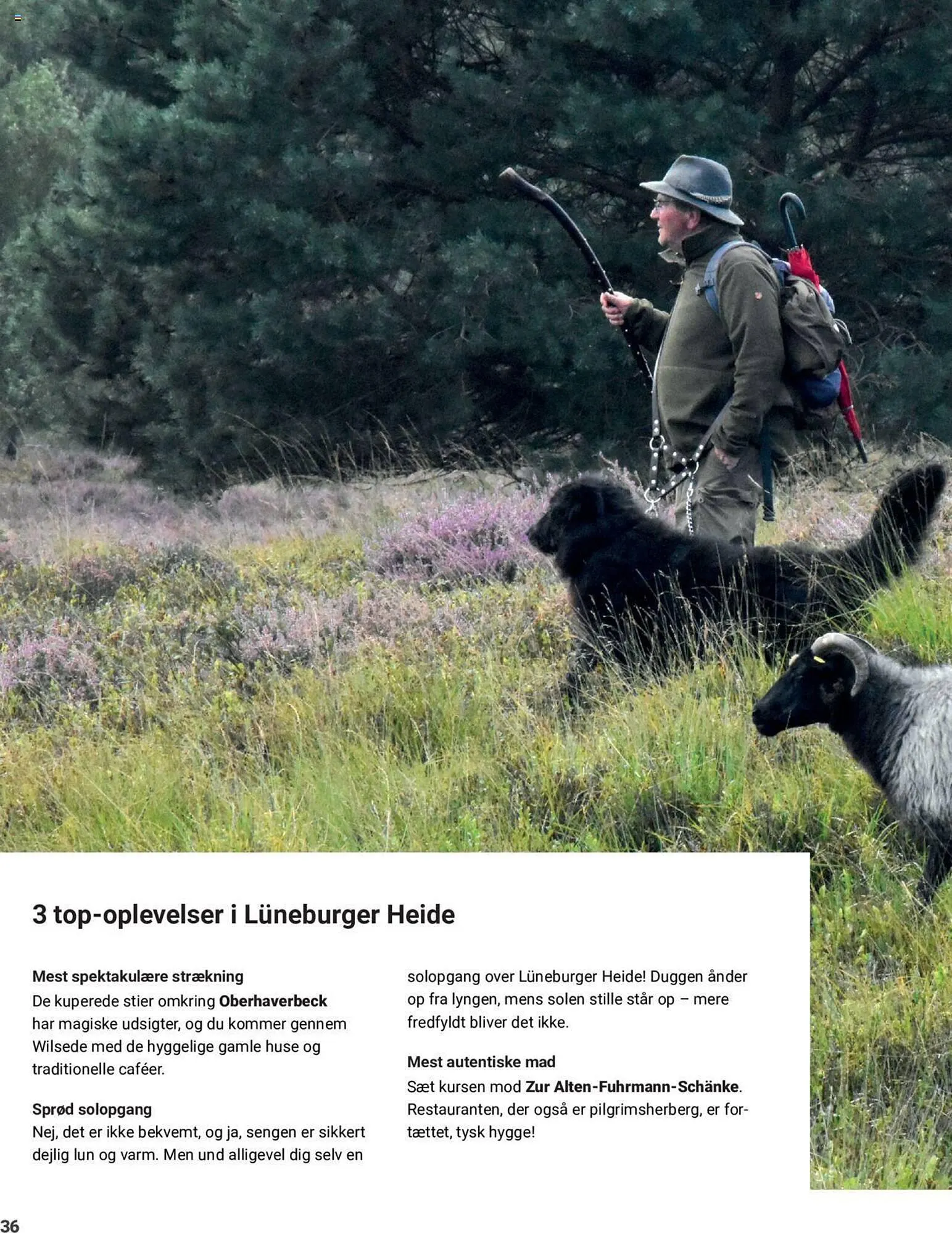 Spejder Sport tilbudsavis Gyldig indtil 28. august - 30. december 2023 - tilbudsavis side 36