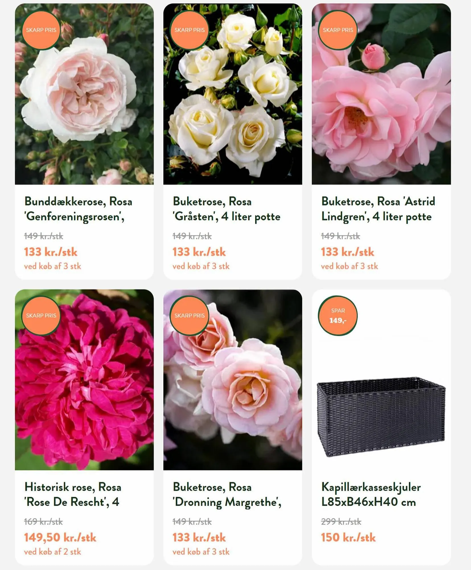 Plantorama tilbudsavis Gyldig indtil 13. september - 27. september 2023 - tilbudsavis side 2