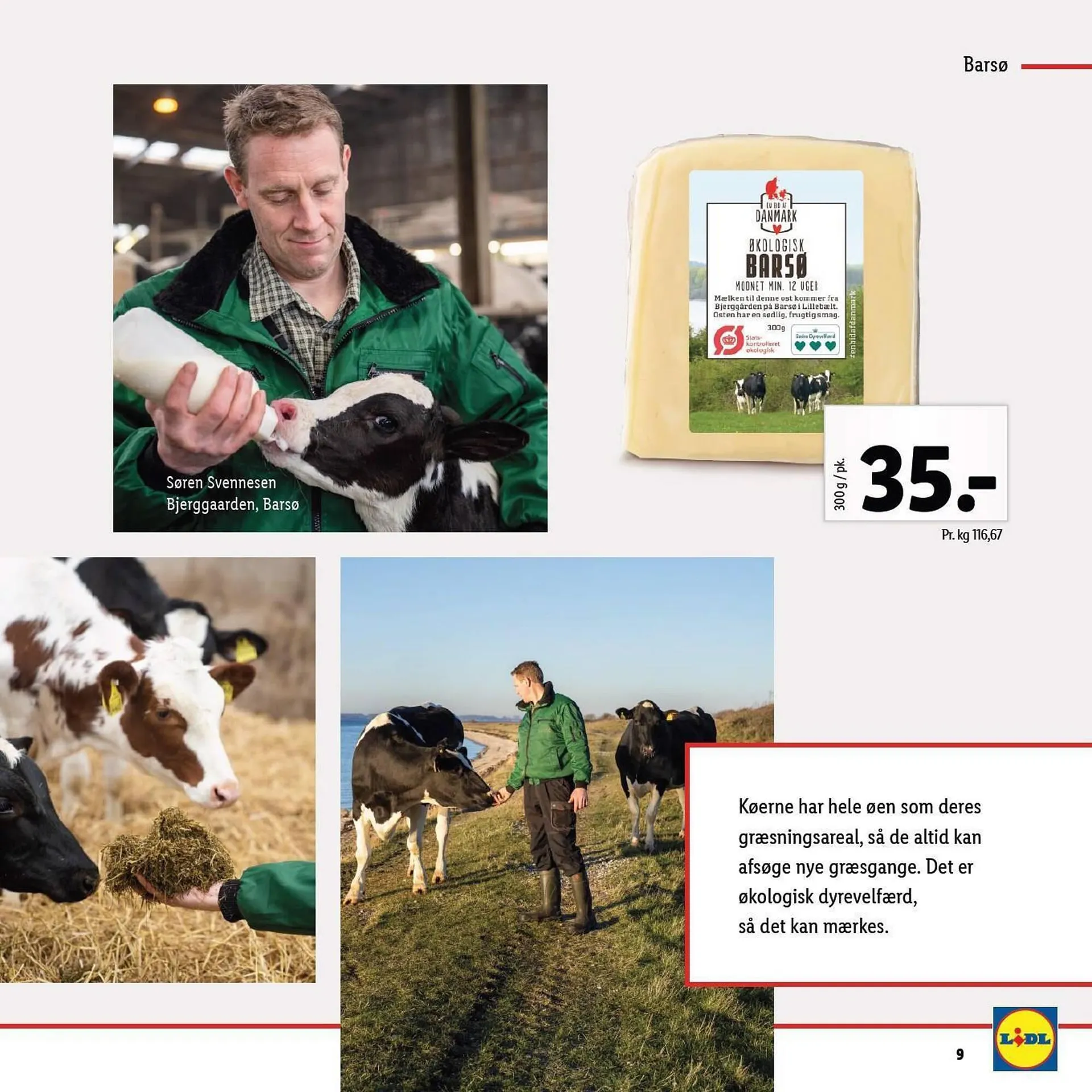 Lidl tilbudsavis Gyldig indtil 10. september - 16. september 2023 - tilbudsavis side 9