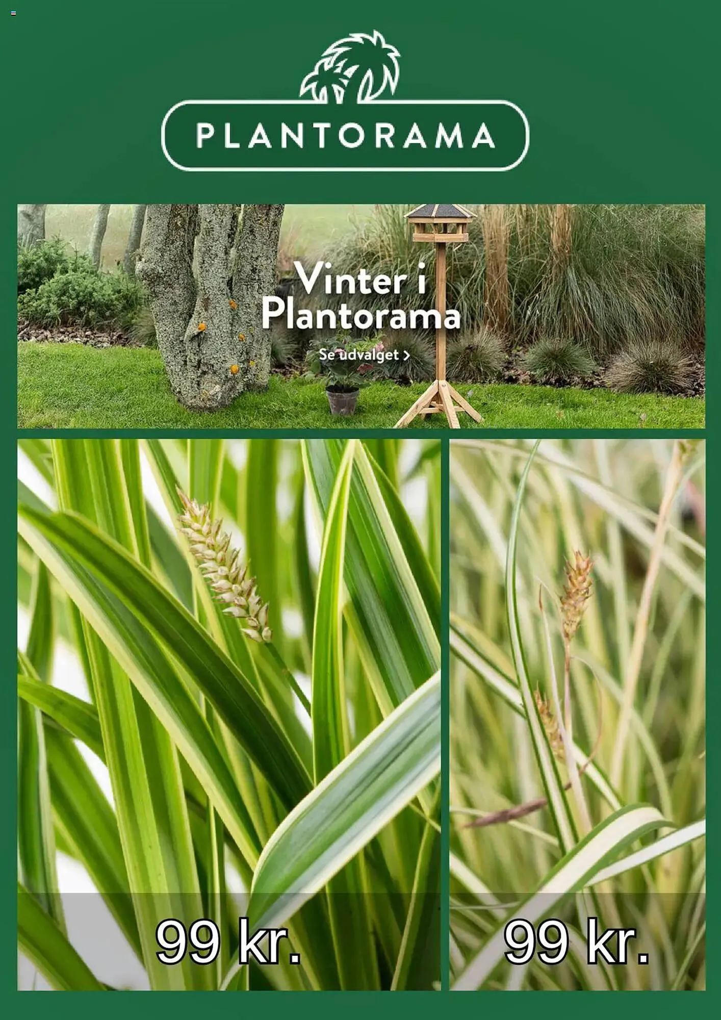 Plantorama tilbudsavis Gyldig indtil 20. januar - 19. februar 2025 - tilbudsavis side 1