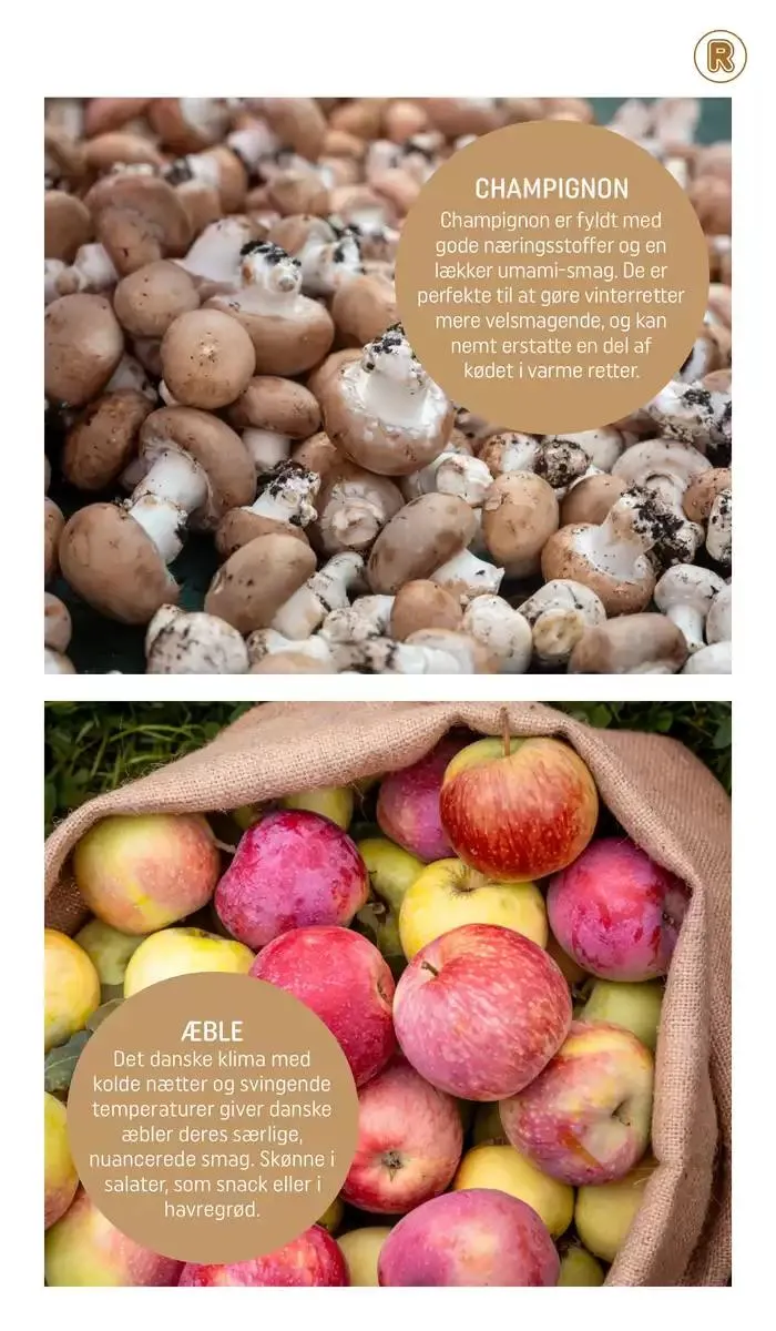 Vores bedste kup Gyldig indtil 31. december - 31. januar 2025 - tilbudsavis side 4