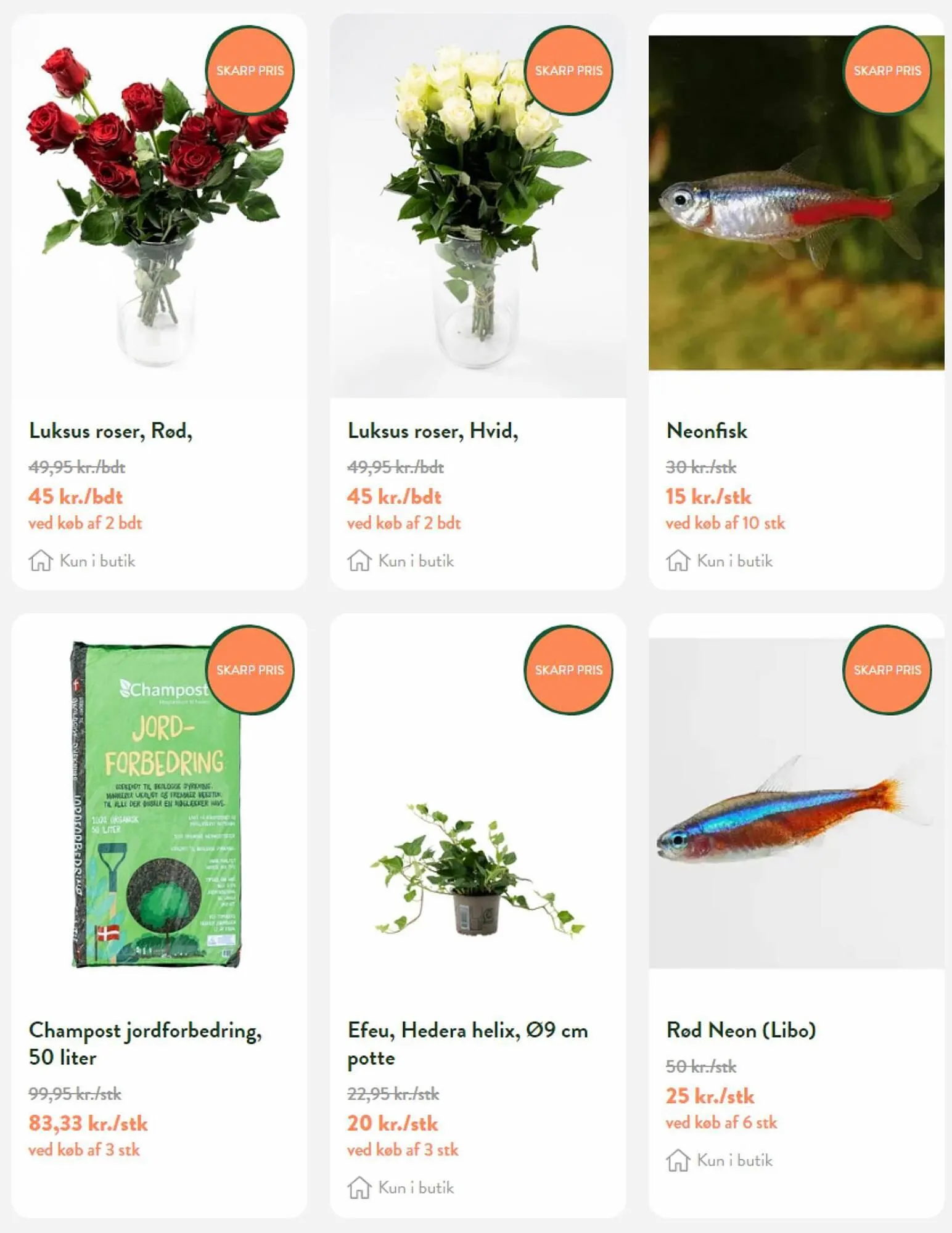 Plantorama tilbudsavis Gyldig indtil 28. august - 11. september 2023 - tilbudsavis side 4