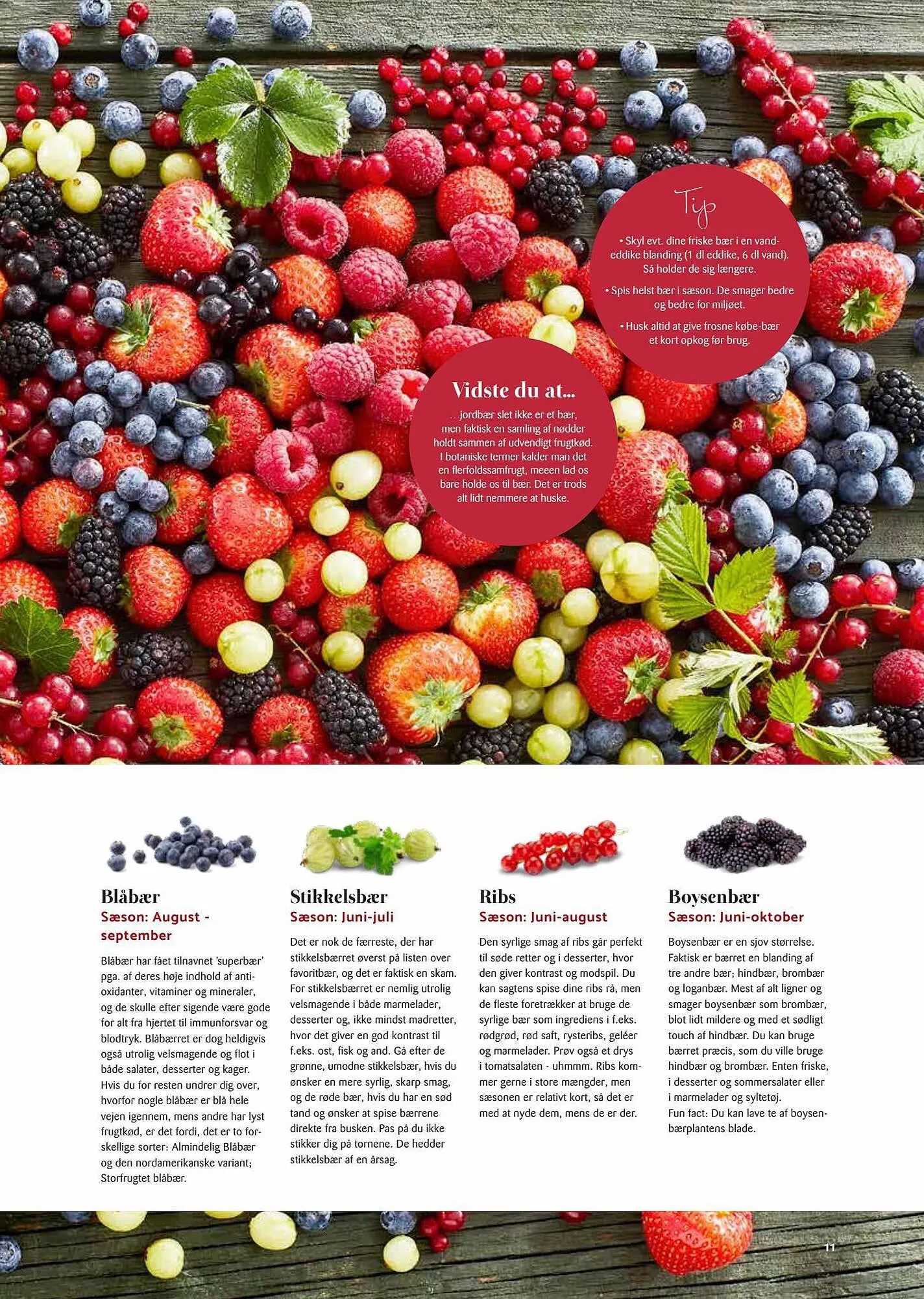 Kop & Kande tilbudsavis Gyldig indtil 3. juli - 21. september 2023 - tilbudsavis side 11