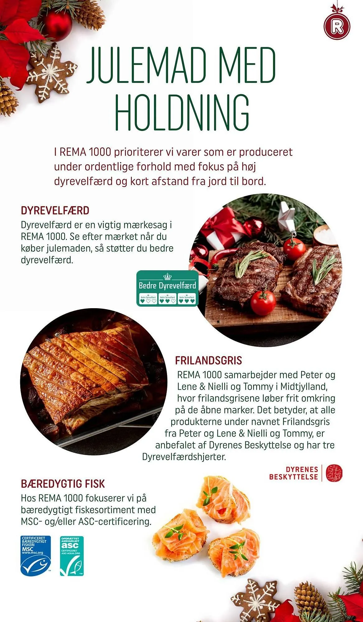 Rema 1000 tilbudsavis Gyldig indtil 5. december - 24. december 2023 - tilbudsavis side 5