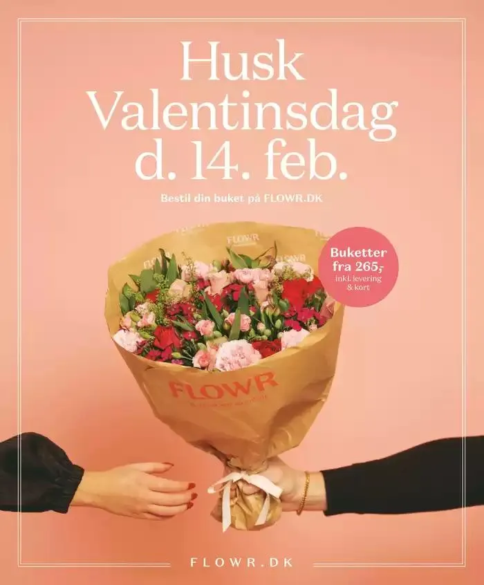 Fantastiske rabatter på udvalgte produkter Gyldig indtil 31. januar - 14. februar 2025 - tilbudsavis side 29