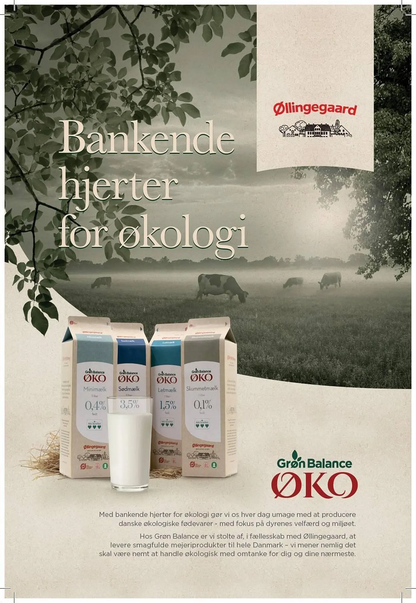 MENY tilbudsavis Gyldig indtil 22. september - 28. september 2023 - tilbudsavis side 38