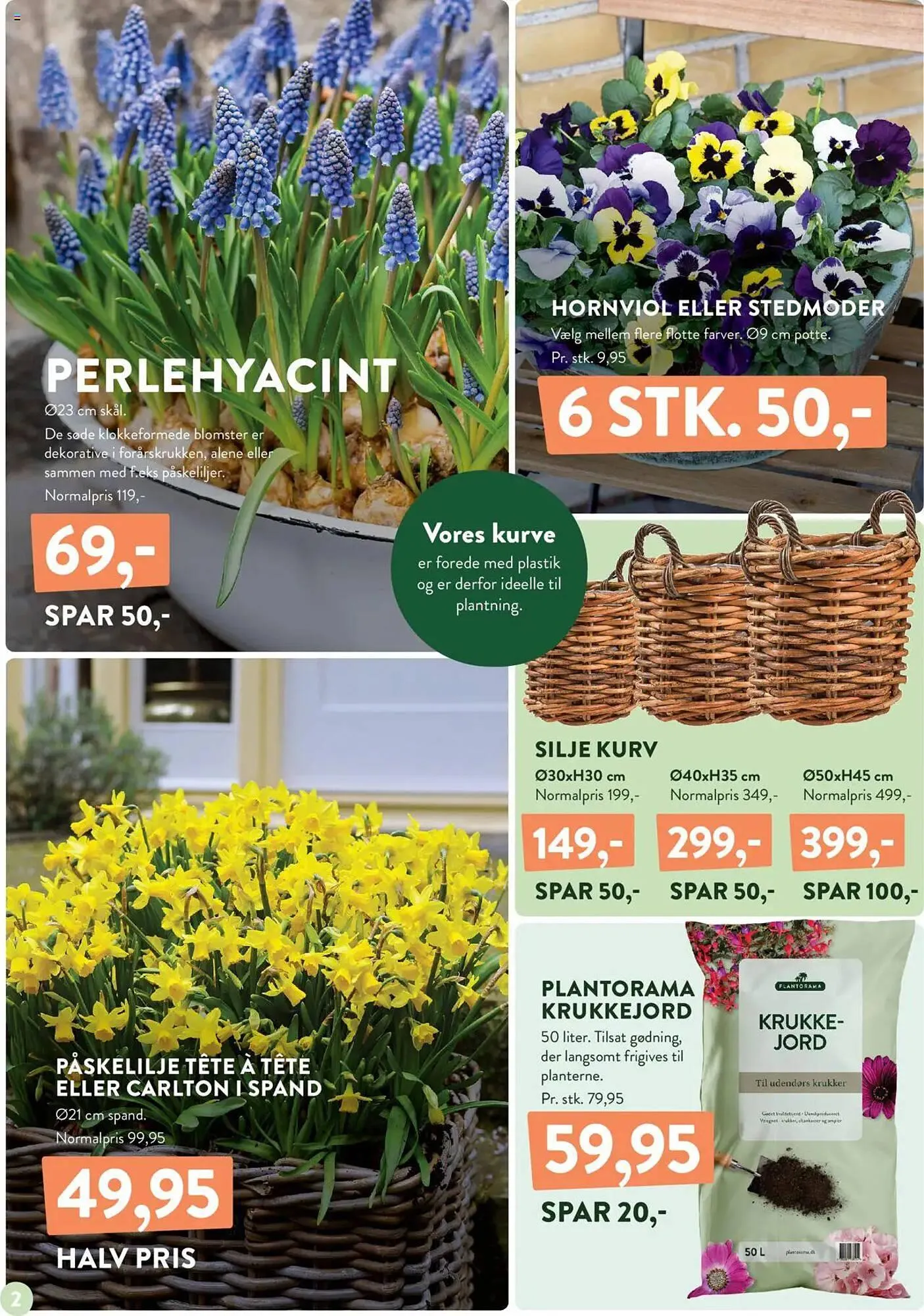 Plantorama tilbudsavis Gyldig indtil 31. januar - 6. februar 2025 - tilbudsavis side 2