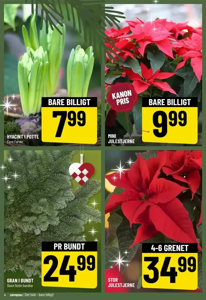 Løvbjerg Tilbudsavis Gyldig indtil 22. november - 28. november 2024 - tilbudsavis side 17