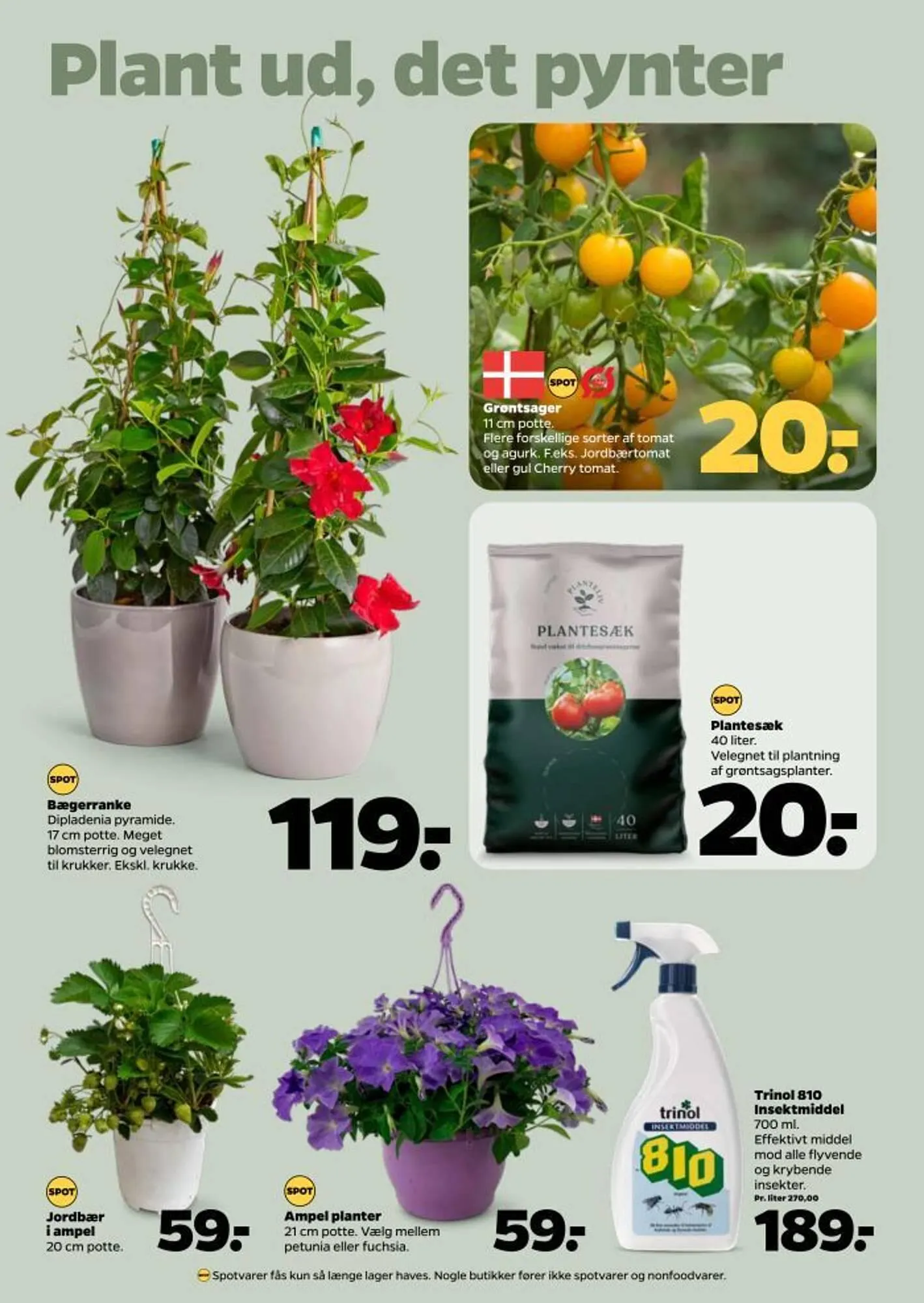 Netto tilbudsavis Gyldig indtil 3. maj - 9. maj 2025 - tilbudsavis side 34