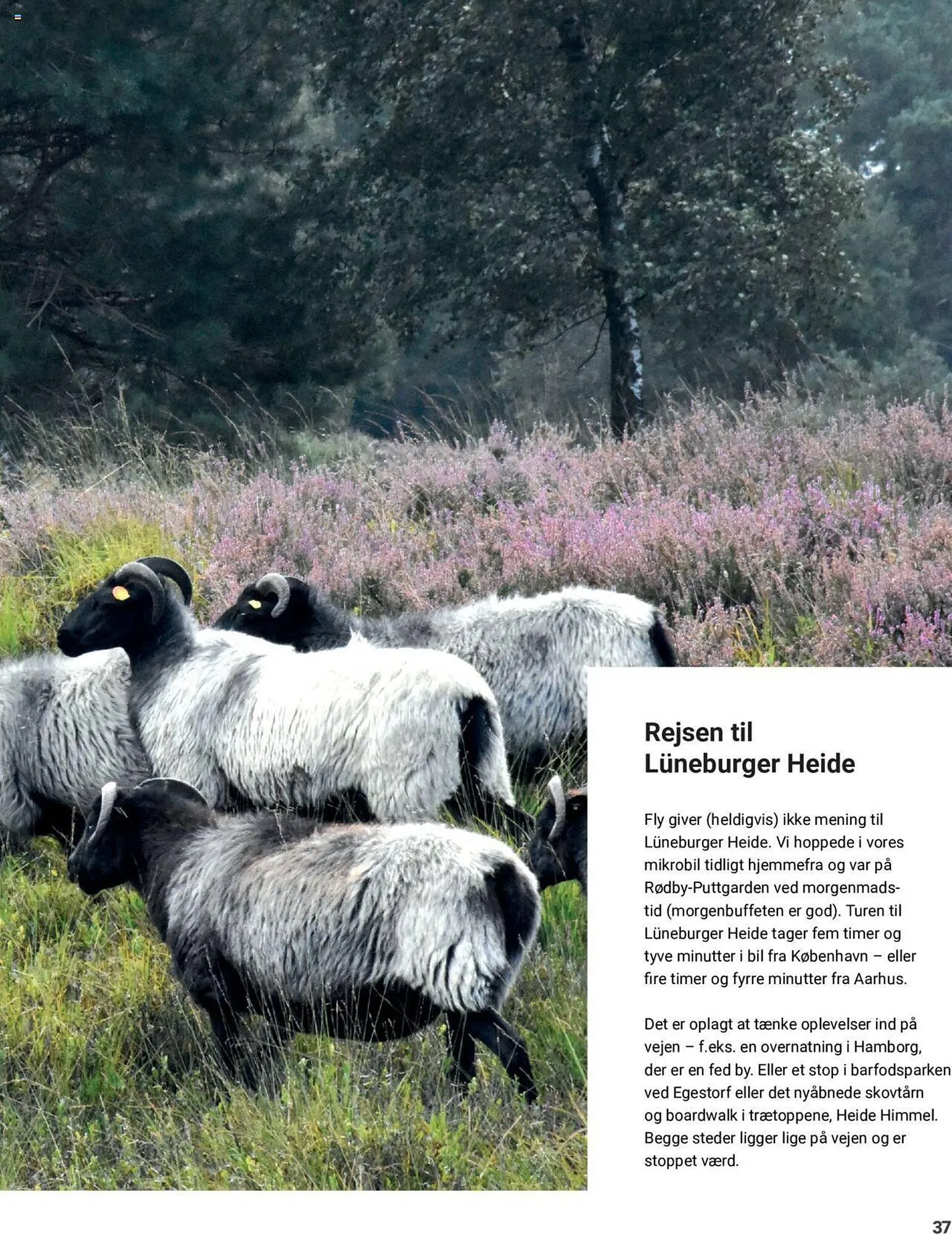 Spejder Sport tilbudsavis Gyldig indtil 28. august - 30. december 2023 - tilbudsavis side 37