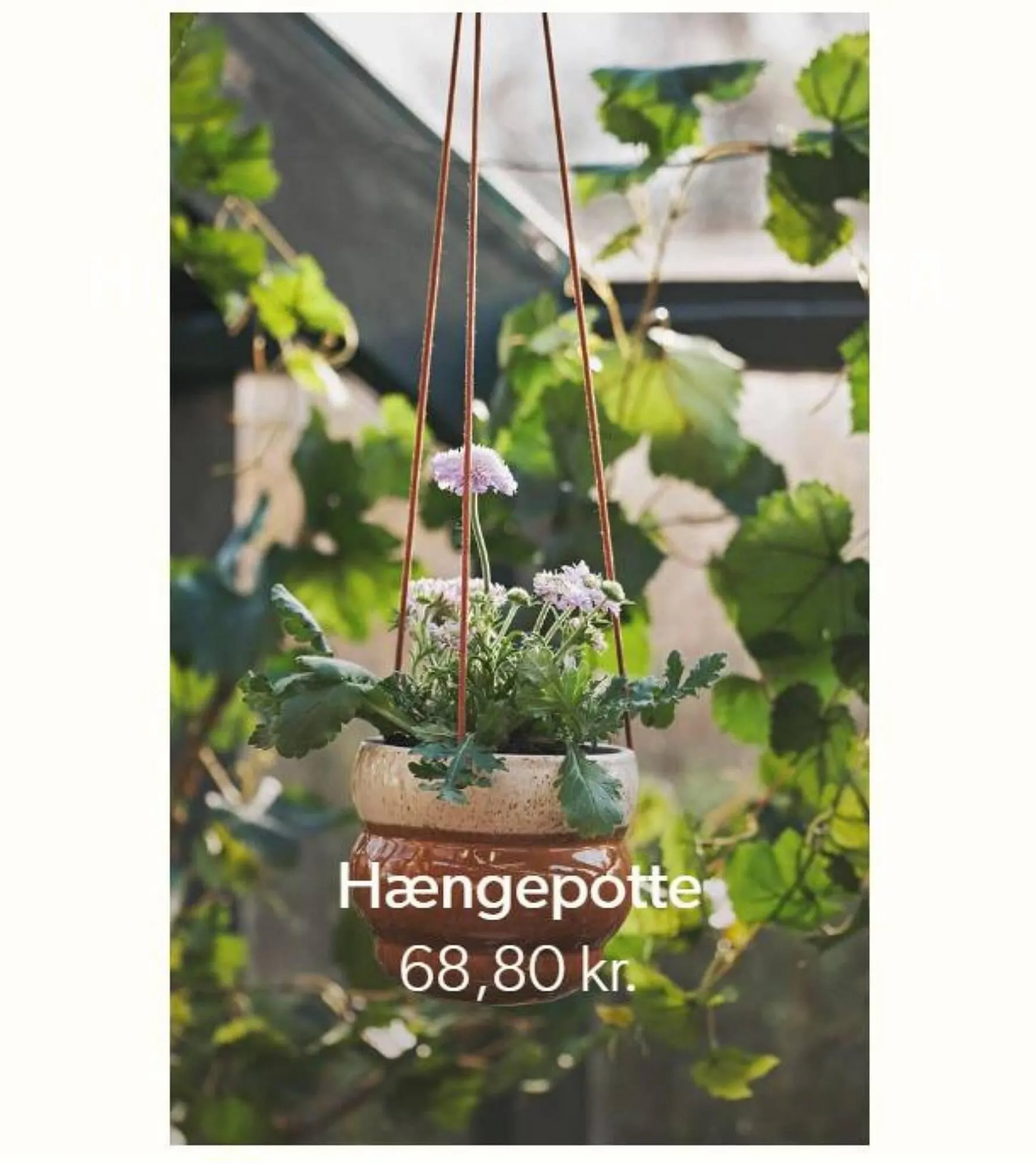 Søstrene Grene tilbudsavis Gyldig indtil 11. juli - 14. august 2023 - tilbudsavis side 3