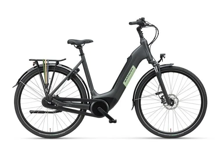 Batavus Altura Power