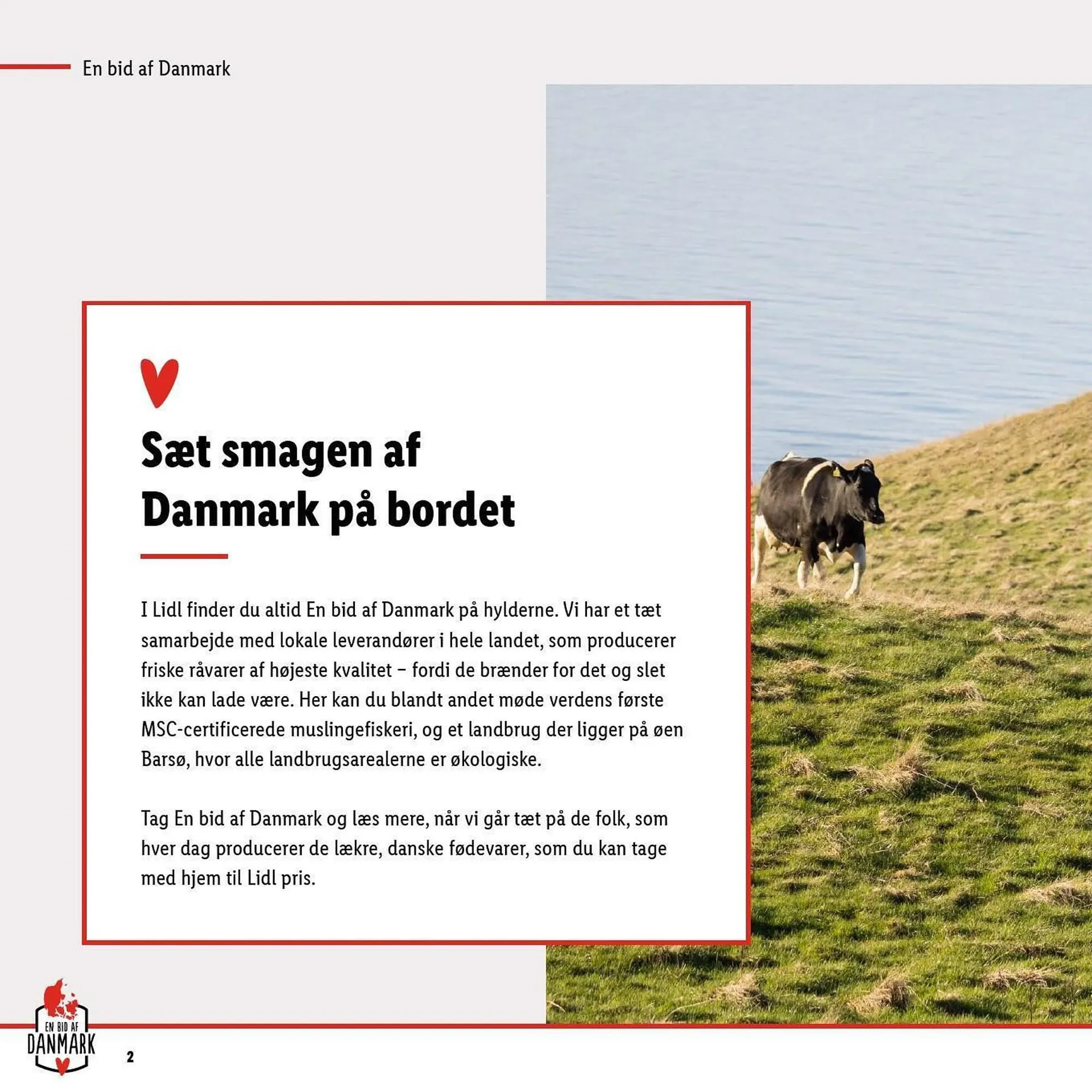 Lidl tilbudsavis Gyldig indtil 10. september - 16. september 2023 - tilbudsavis side 2