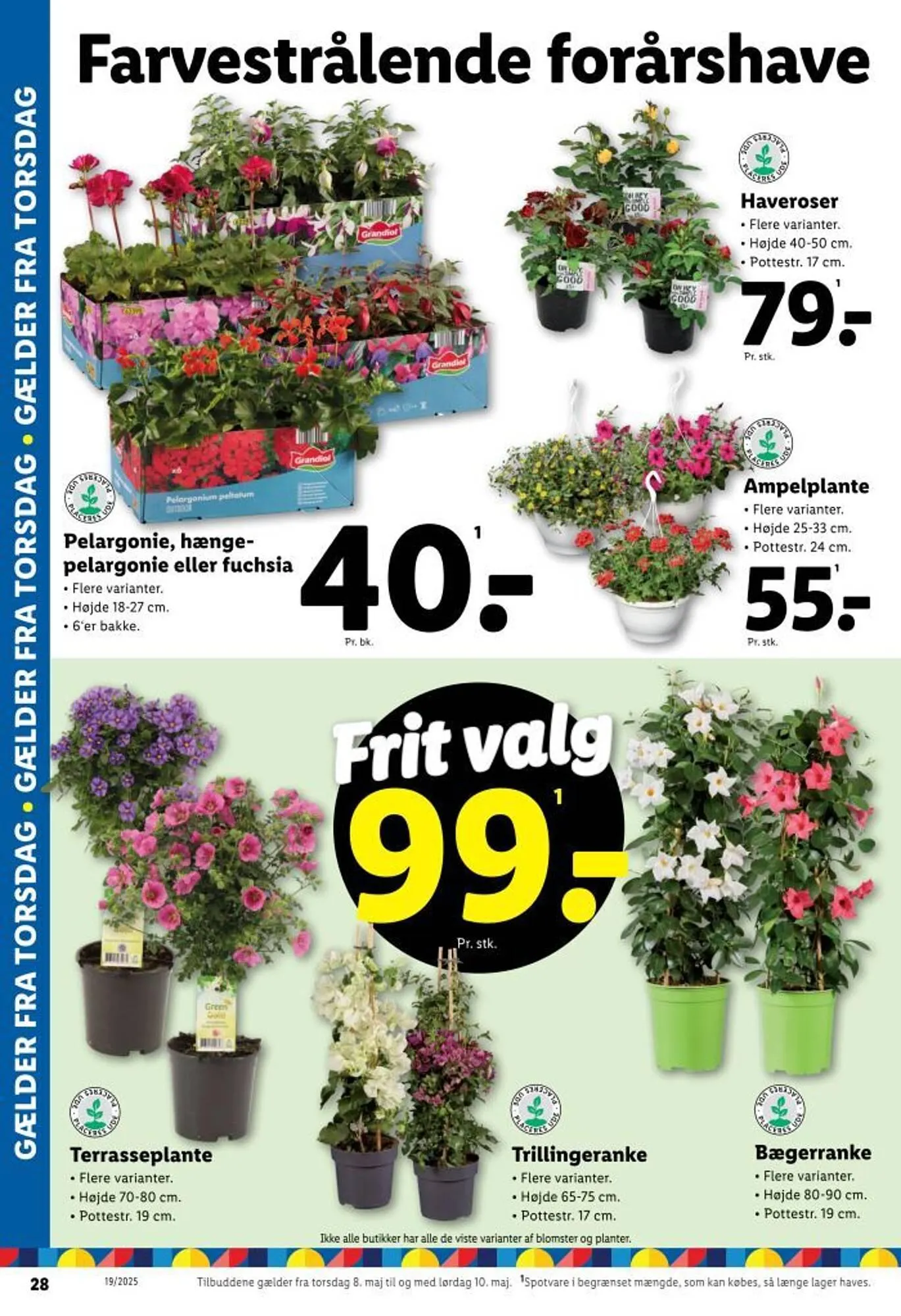 Lidl tilbudsavis Gyldig indtil 4. maj - 10. maj 2025 - tilbudsavis side 28