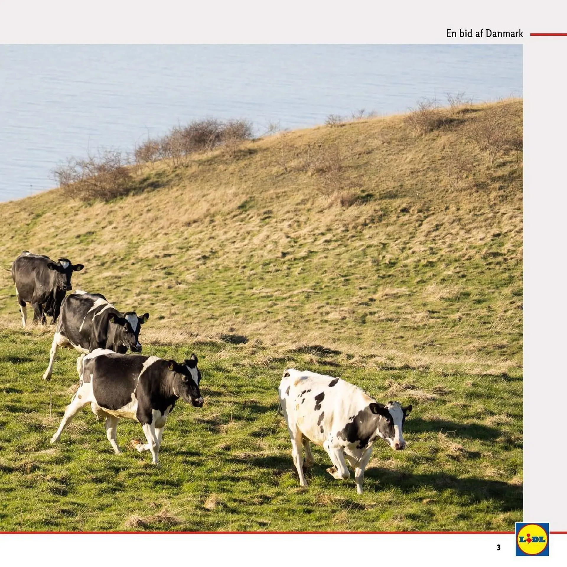 Lidl tilbudsavis Gyldig indtil 10. september - 16. september 2023 - tilbudsavis side 3