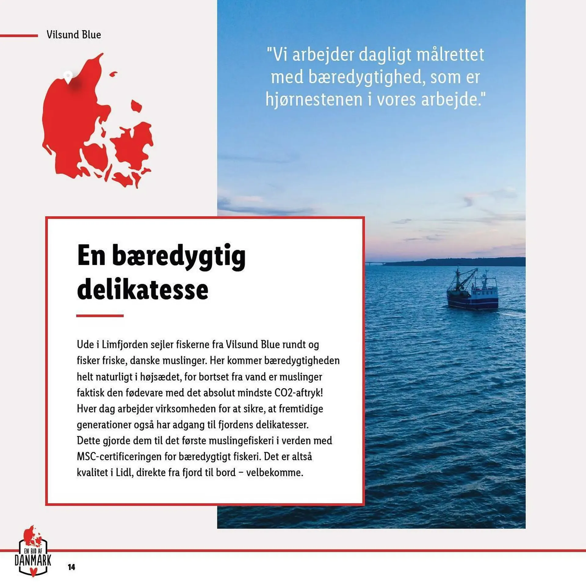 Lidl tilbudsavis Gyldig indtil 10. september - 16. september 2023 - tilbudsavis side 14