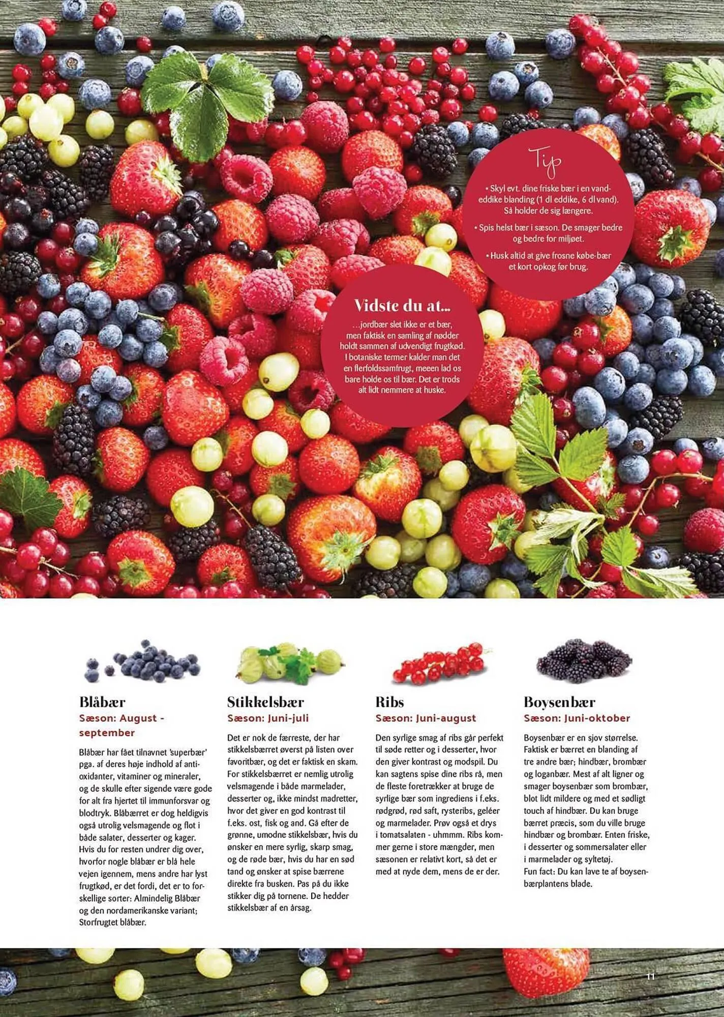 Kop & Kande tilbudsavis Gyldig indtil 9. juni - 30. september 2023 - tilbudsavis side 11