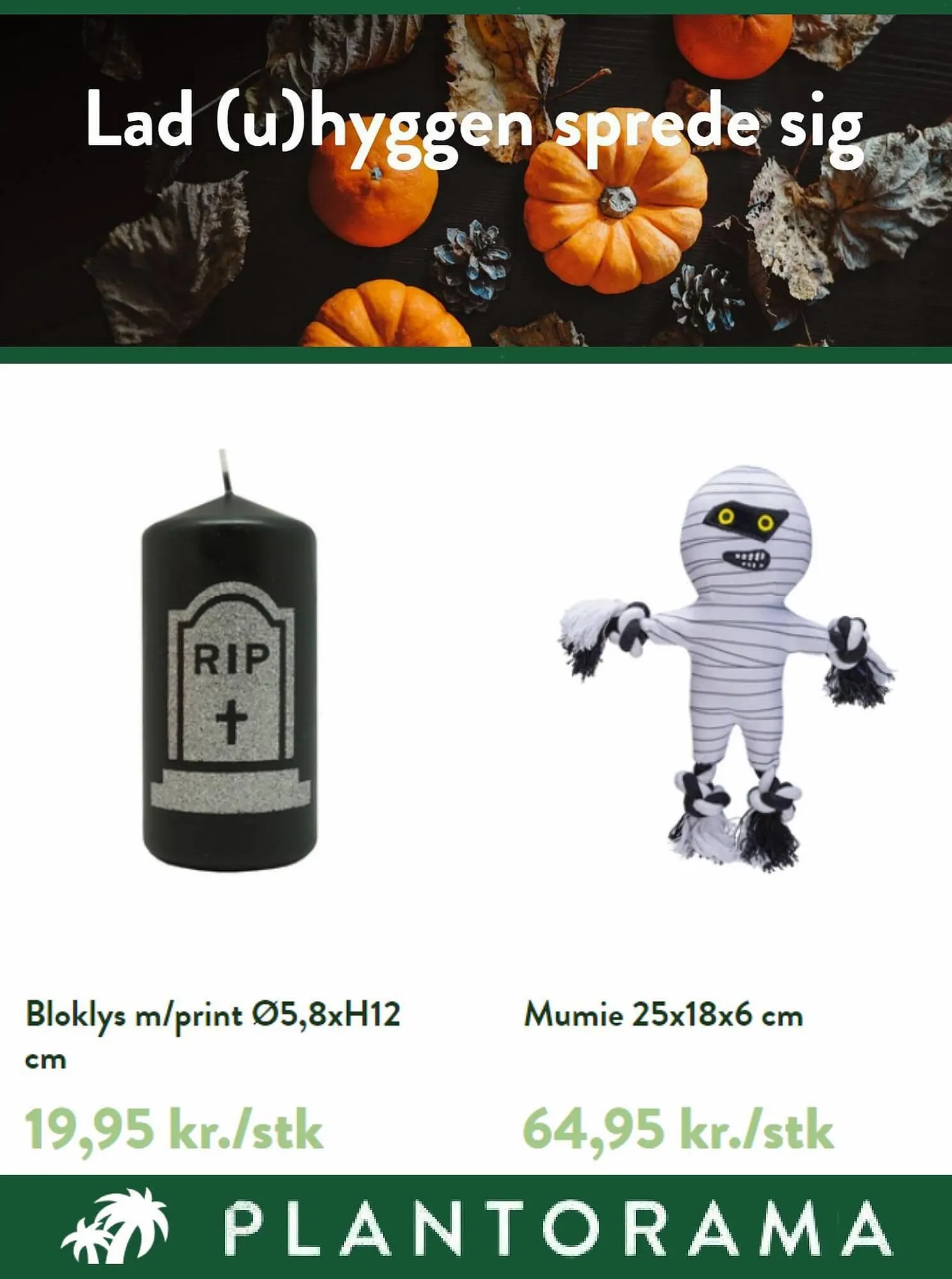 Plantorama tilbudsavis Gyldig indtil 16. oktober - 31. oktober 2023 - tilbudsavis side 4