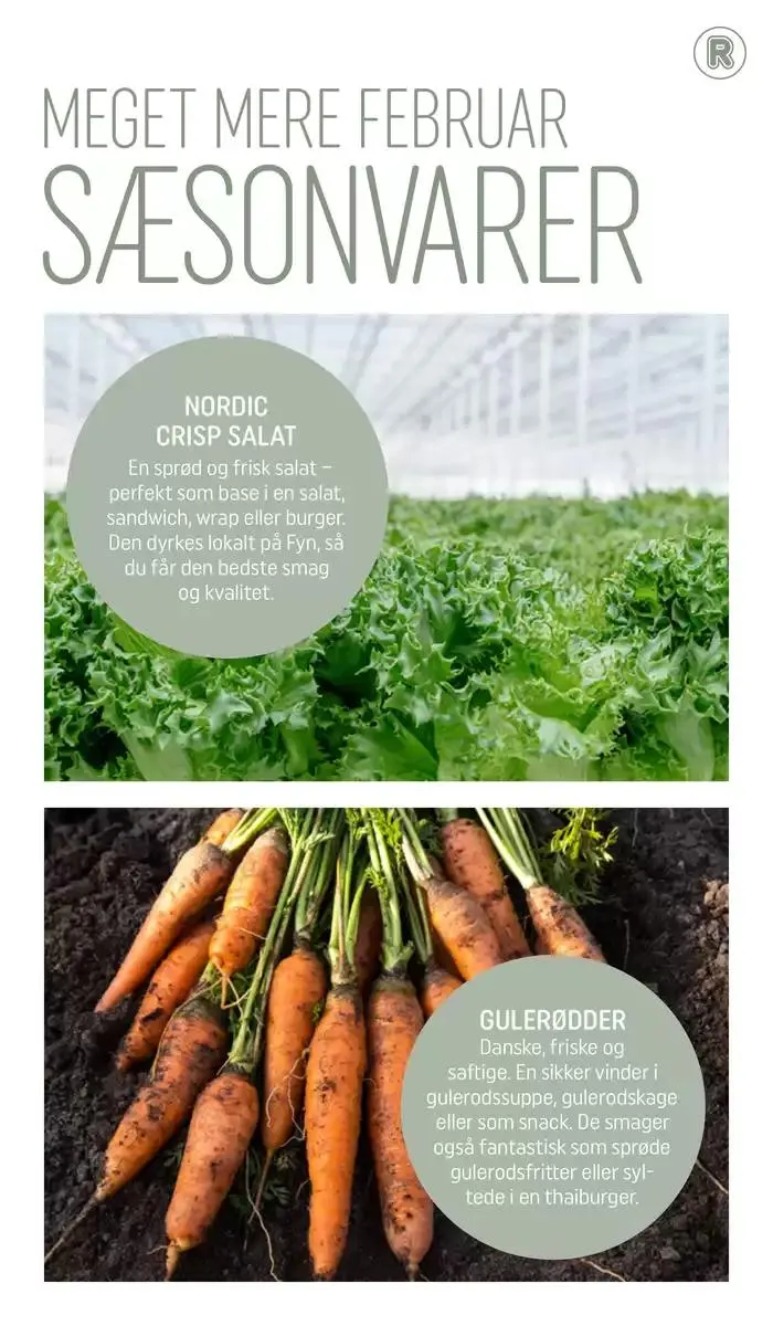 Spar nu med vores tilbud Gyldig indtil 31. januar - 28. februar 2025 - tilbudsavis side 3