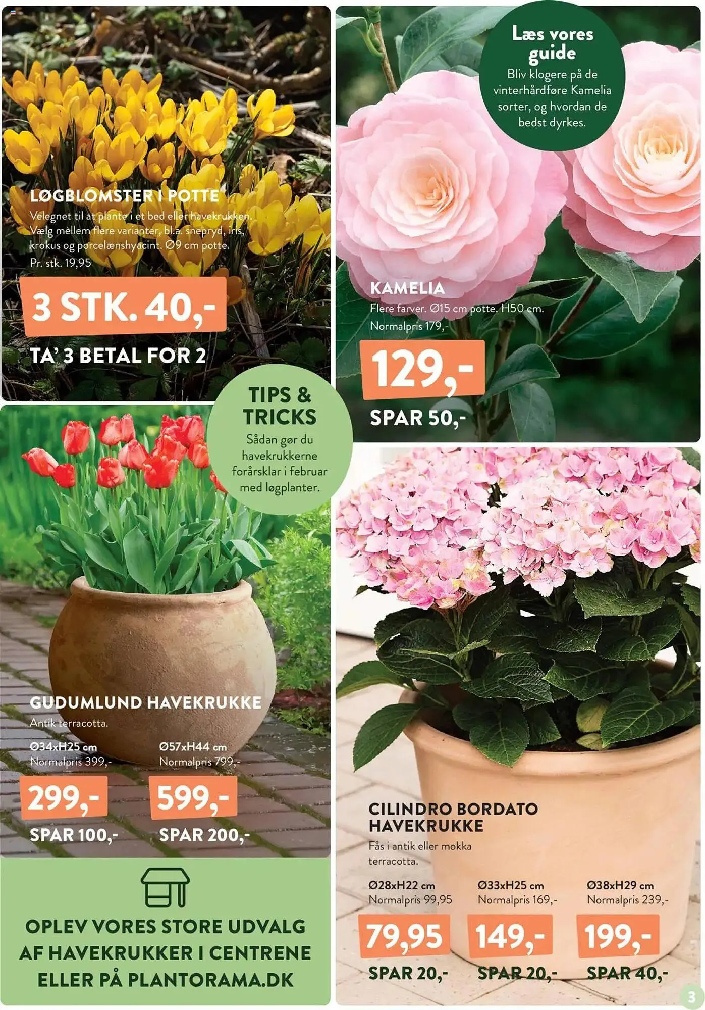 Plantorama tilbudsavis Gyldig indtil 31. januar - 6. februar 2025 - tilbudsavis side 3