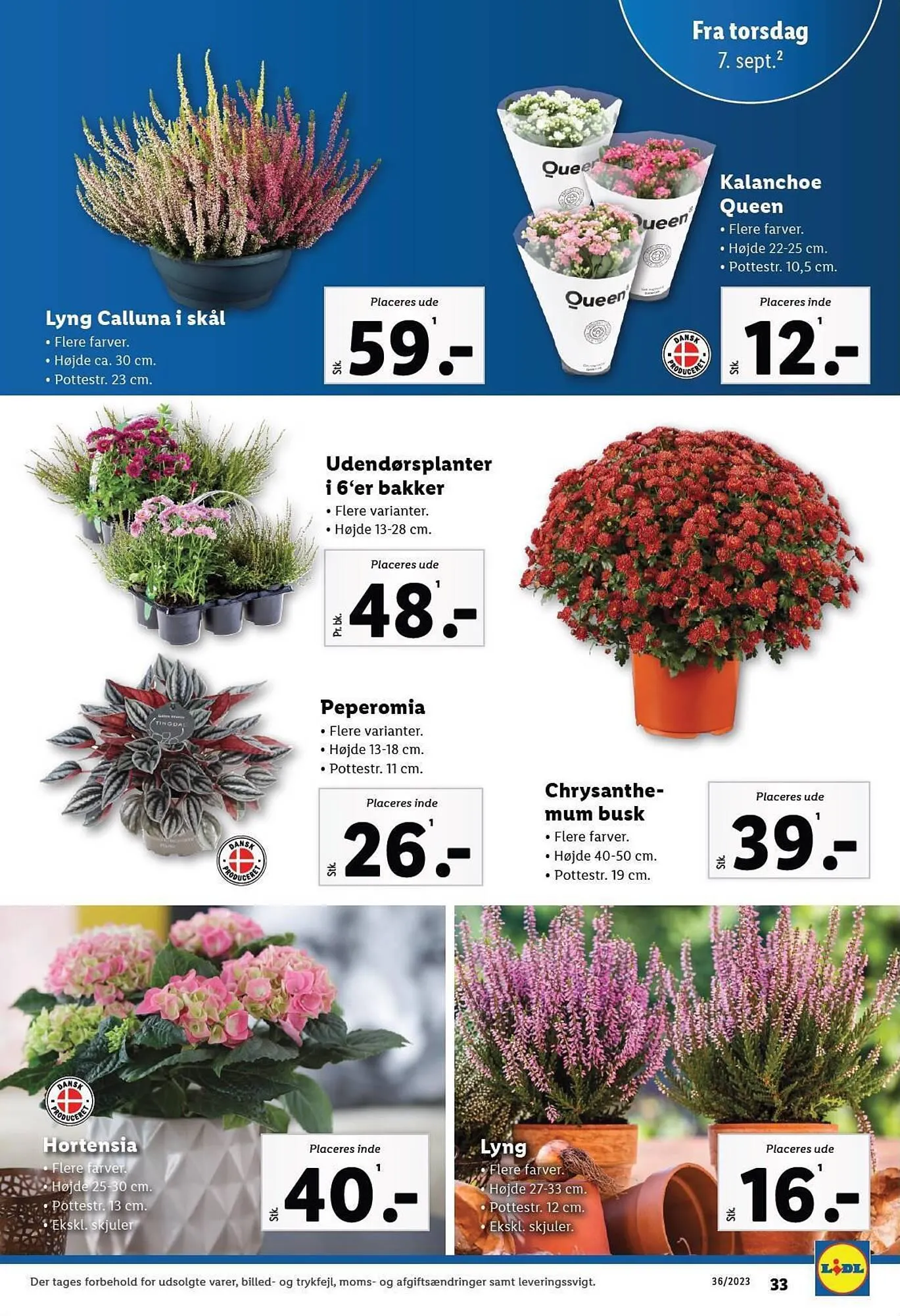 Lidl tilbudsavis Gyldig indtil 7. september - 9. september 2023 - tilbudsavis side 5