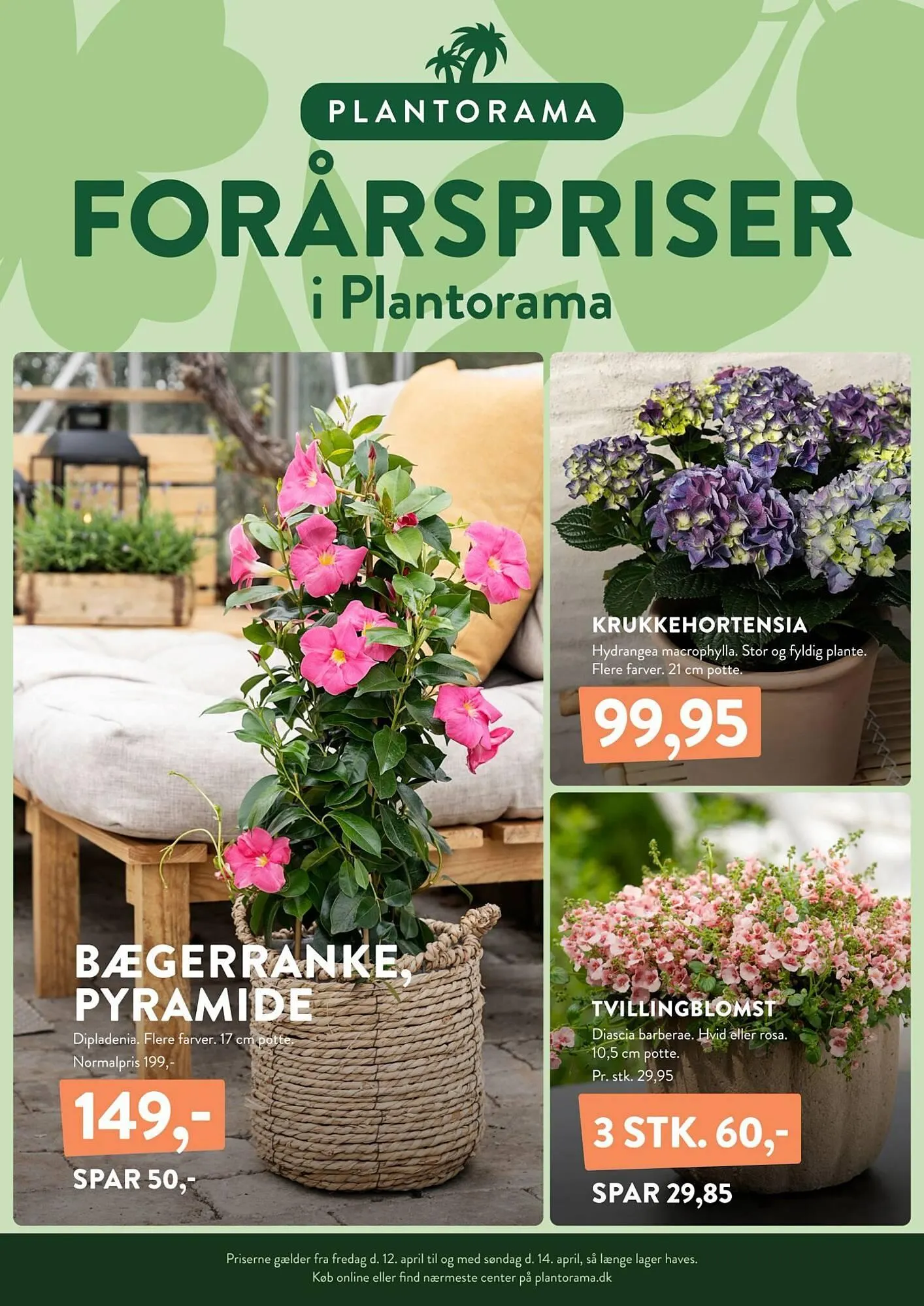 Plantorama tilbudsavis - 1