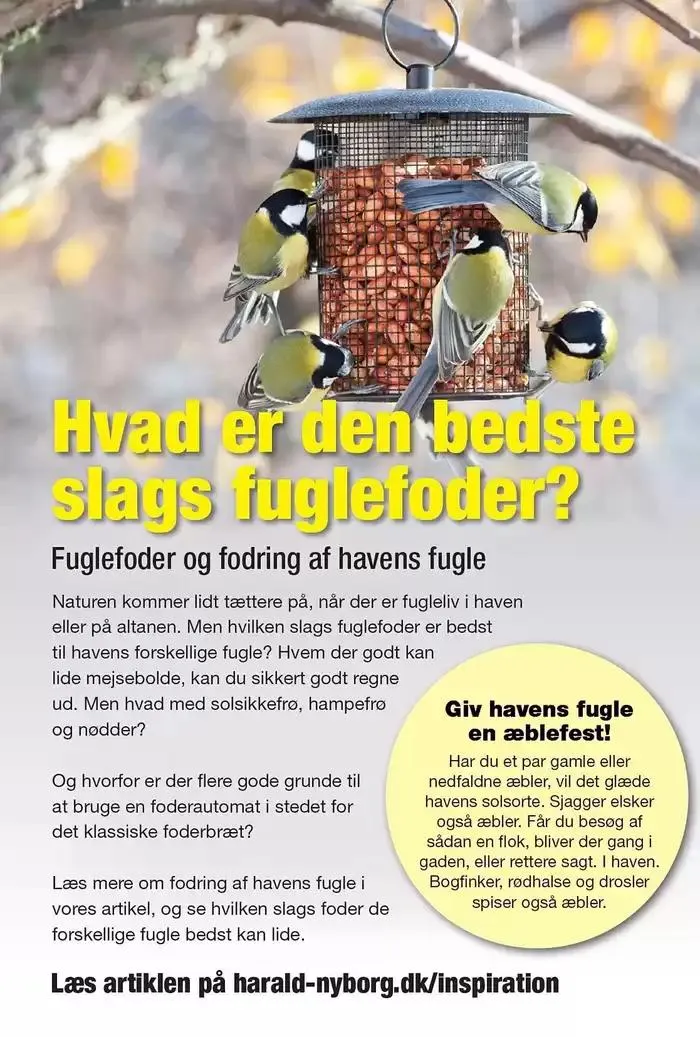 Harald Nyborg Tilbudsavis. 1 Gyldig indtil 25. september - 9. oktober 2024 - tilbudsavis side 54